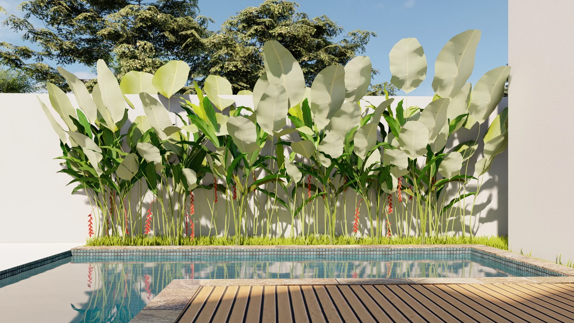 Pool area with a wood deck and still water reflecting a tall row of broad-leaved plants set against a white wall