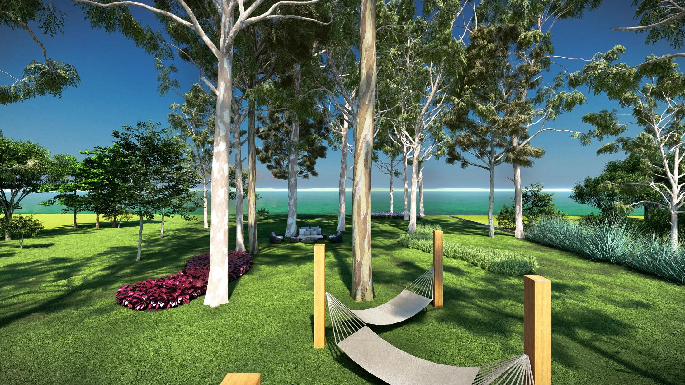 Grove of pale-trunked eucalyptus over the lawn, a hammock in the foreground, a curving bed of wine-red foliage and the sea beyond.