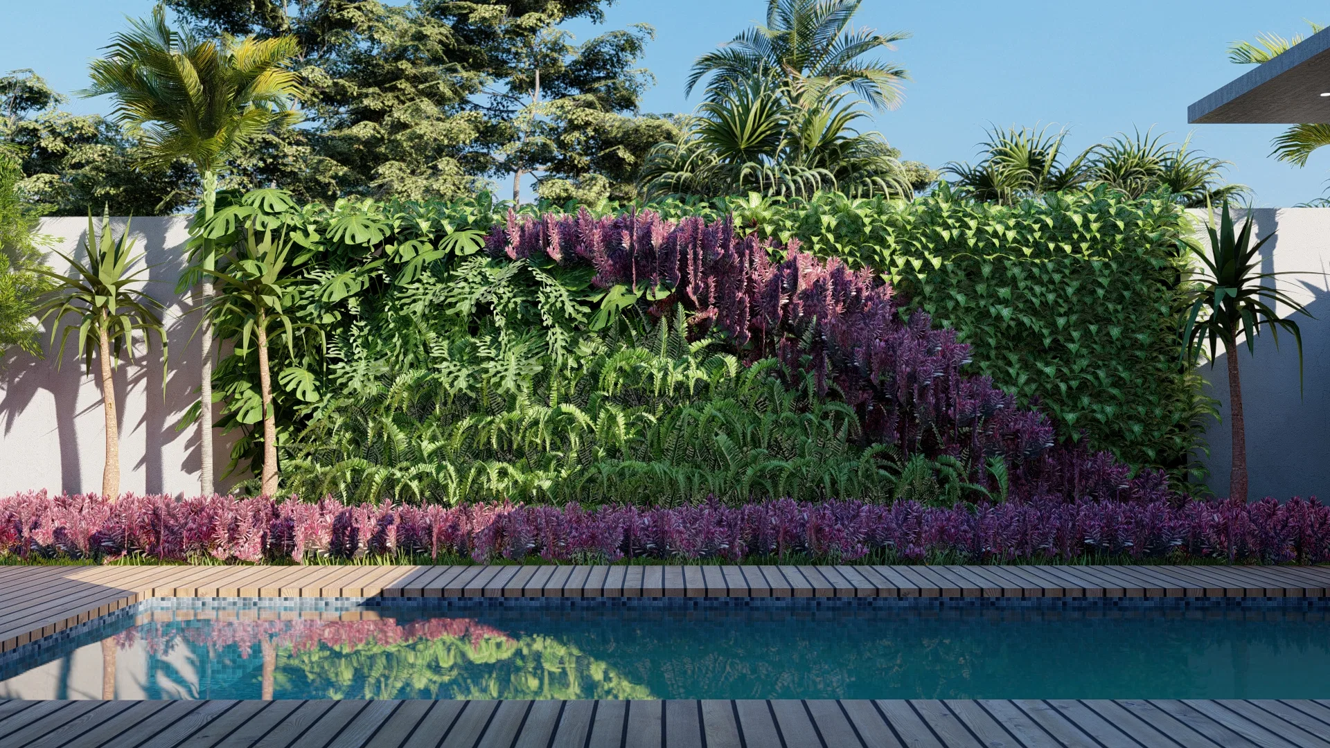 Pool edge with a wooden deck before a dense living green wall, its cut leaves, flowering climbers and purple groundcover mirrored in the water