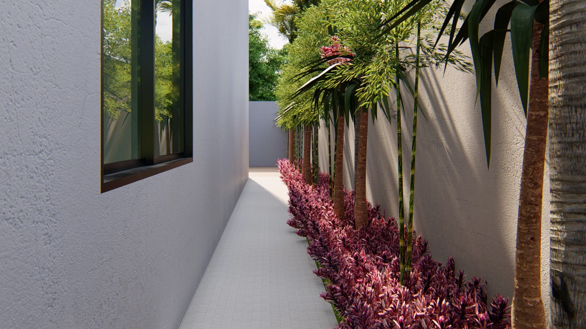 Side corridor of pale paving between the house wall and the boundary wall, with palms and dense wine-red groundcover following the base