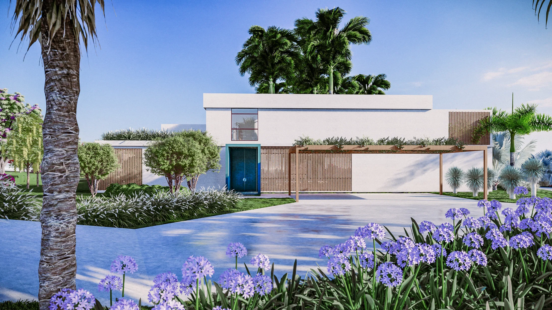 White façade with a blue pivot door and timber screen, before a lawn and a bed of lilac agapanthus in bloom.