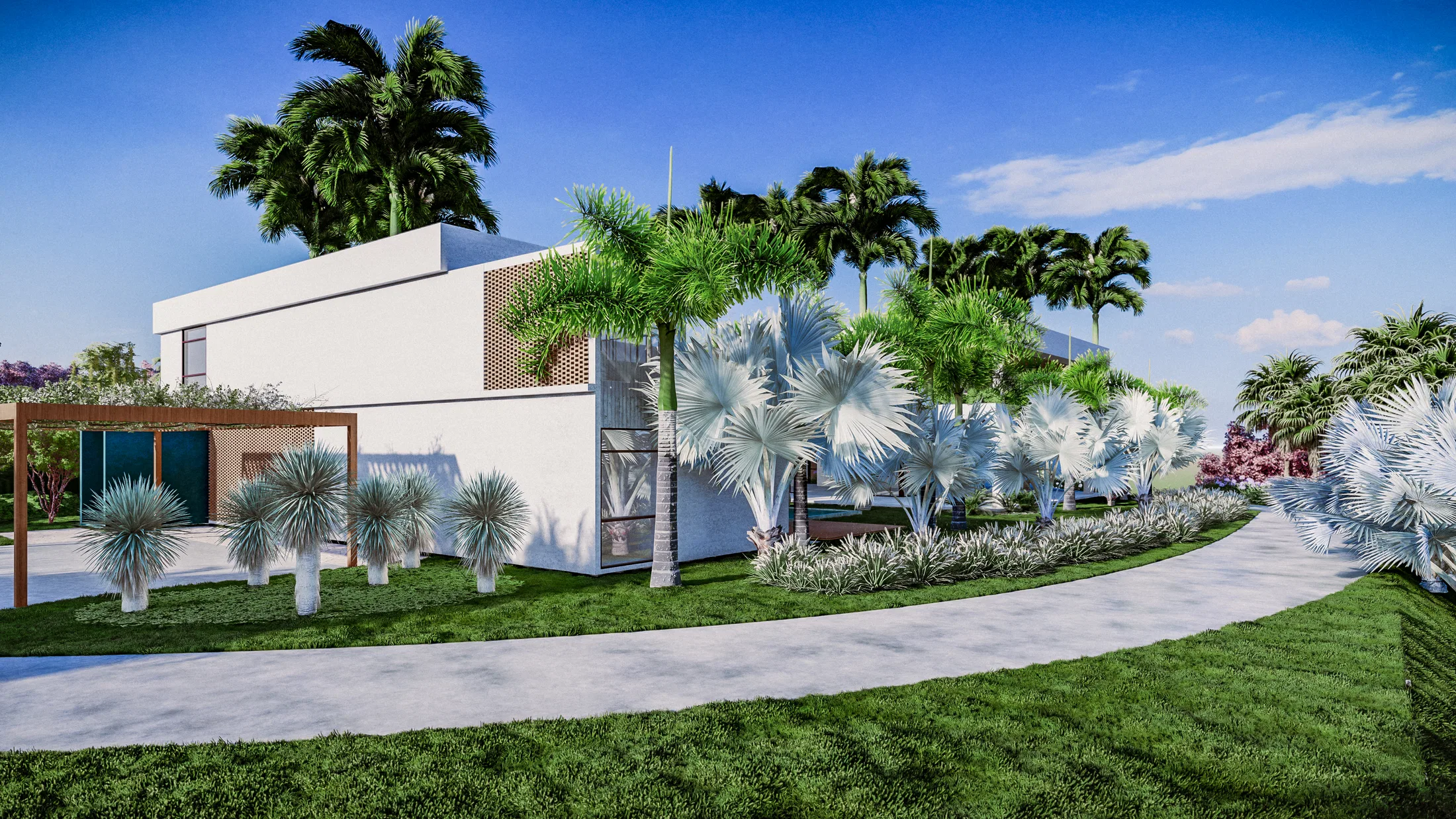 Curving paved driveway bordered by silver palms and ground cover, next to the side of the house and a pergola.