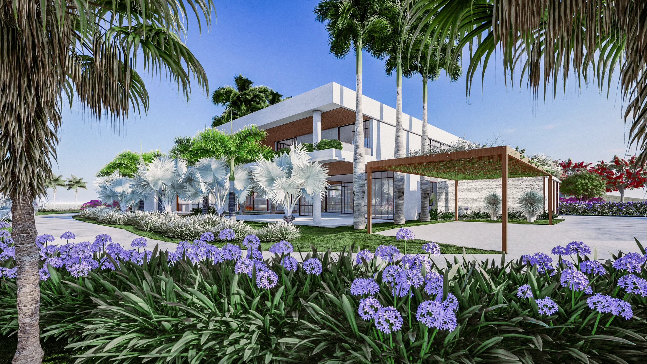 Perspective angle of the two-storey house, with a pergola, silver palms and a bed of agapanthus in the foreground.