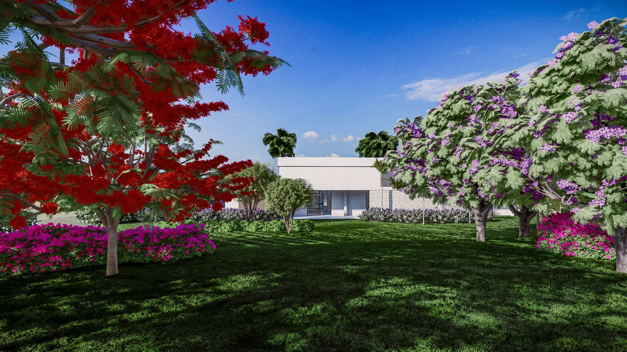 Garden with a red-flowering tree, pink bougainvillea and a purple-flowered canopy over a broad lawn, a white house behind.