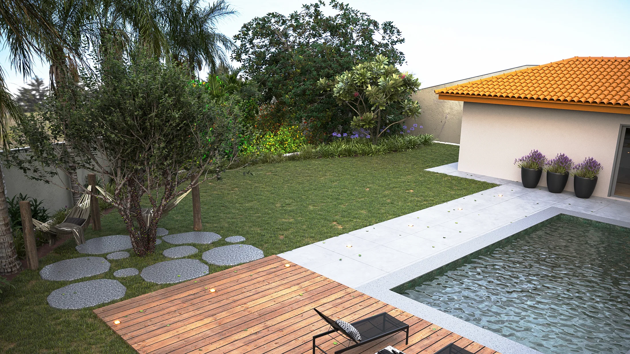 Backyard with a stone-edged pool, timber deck, lawn and a branching olive tree over circular pavers, with lavender in black pots beside the house.