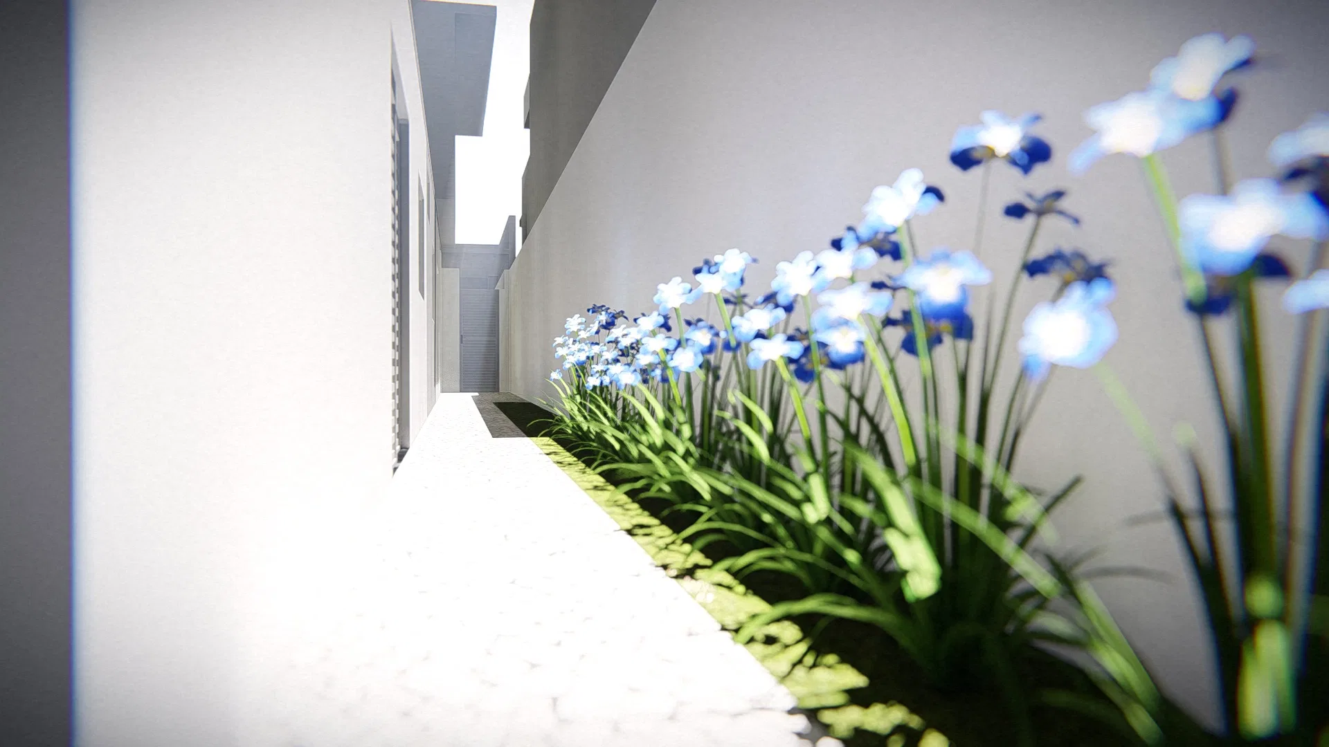 Bed of blue flowers and grasses along a white-stone path, close to the pale wall of a receding corridor
