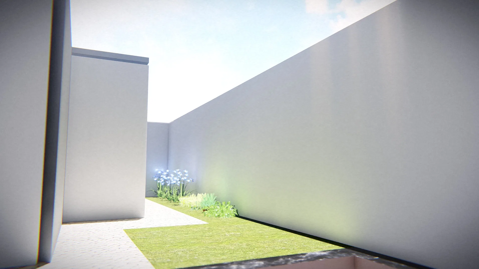 Narrow courtyard between tall white walls, with a strip of grass and a small bed of blue and white flowers under strong light