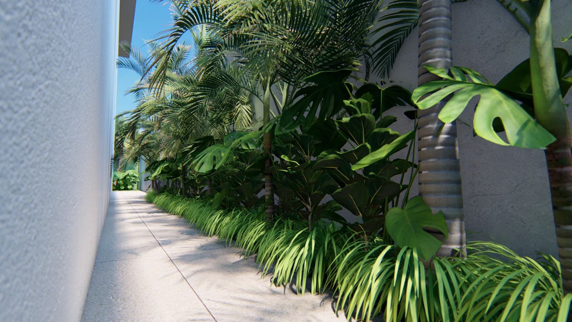 Sunlit side path along a white facade, lined with palms, monstera leaves and a dense band of ornamental grasses