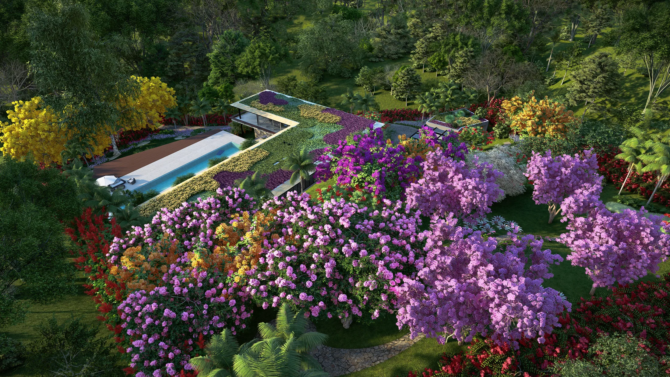 Aerial view of the green roof garden framed by purple bougainvillea and a flowering yellow ipe tree along the edges.