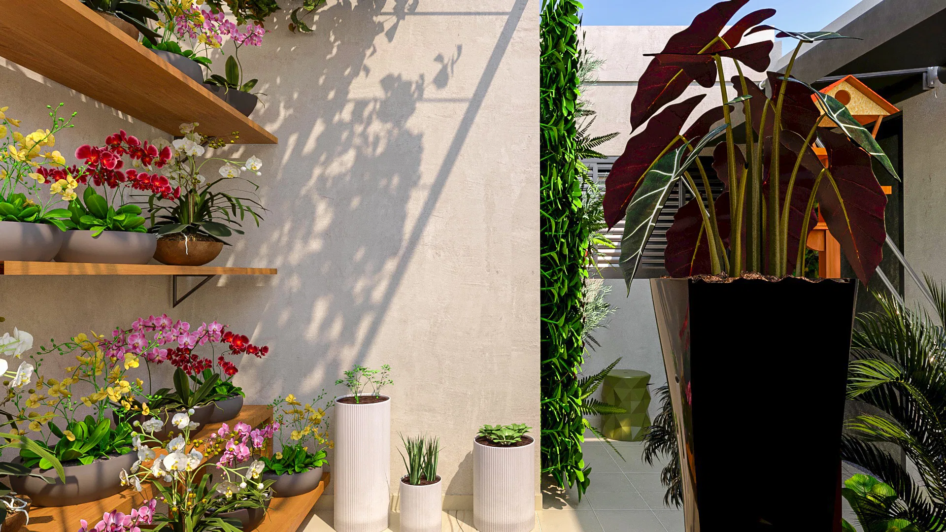 Wooden shelves crowded with colourful orchids next to white cylindrical planters and a tall pot of dark foliage before the living wall.