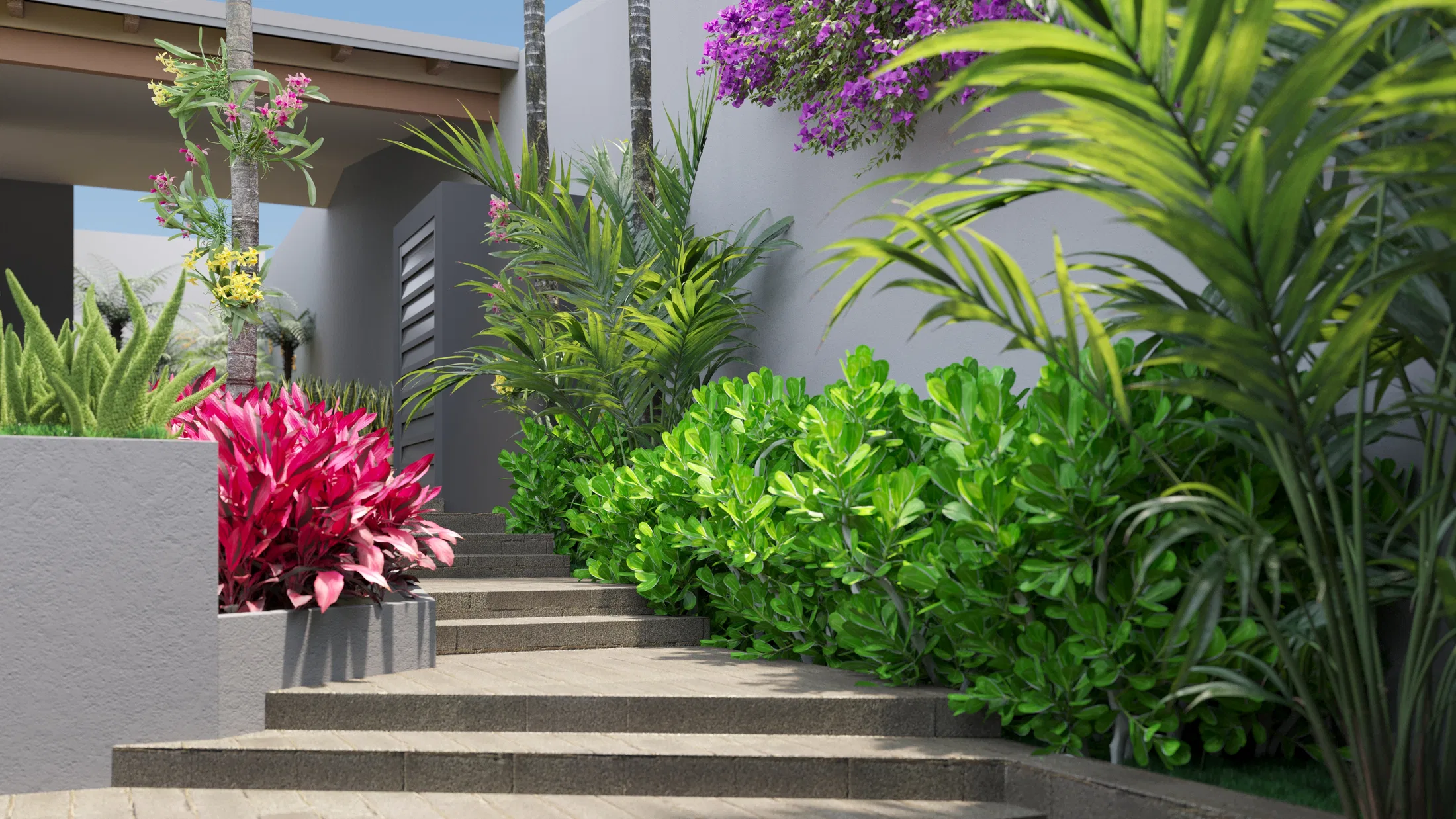 Stone entry steps flanked by a bed of magenta cordyline, palms, glossy green shrubs and purple bougainvillea trailing over the grey wall.