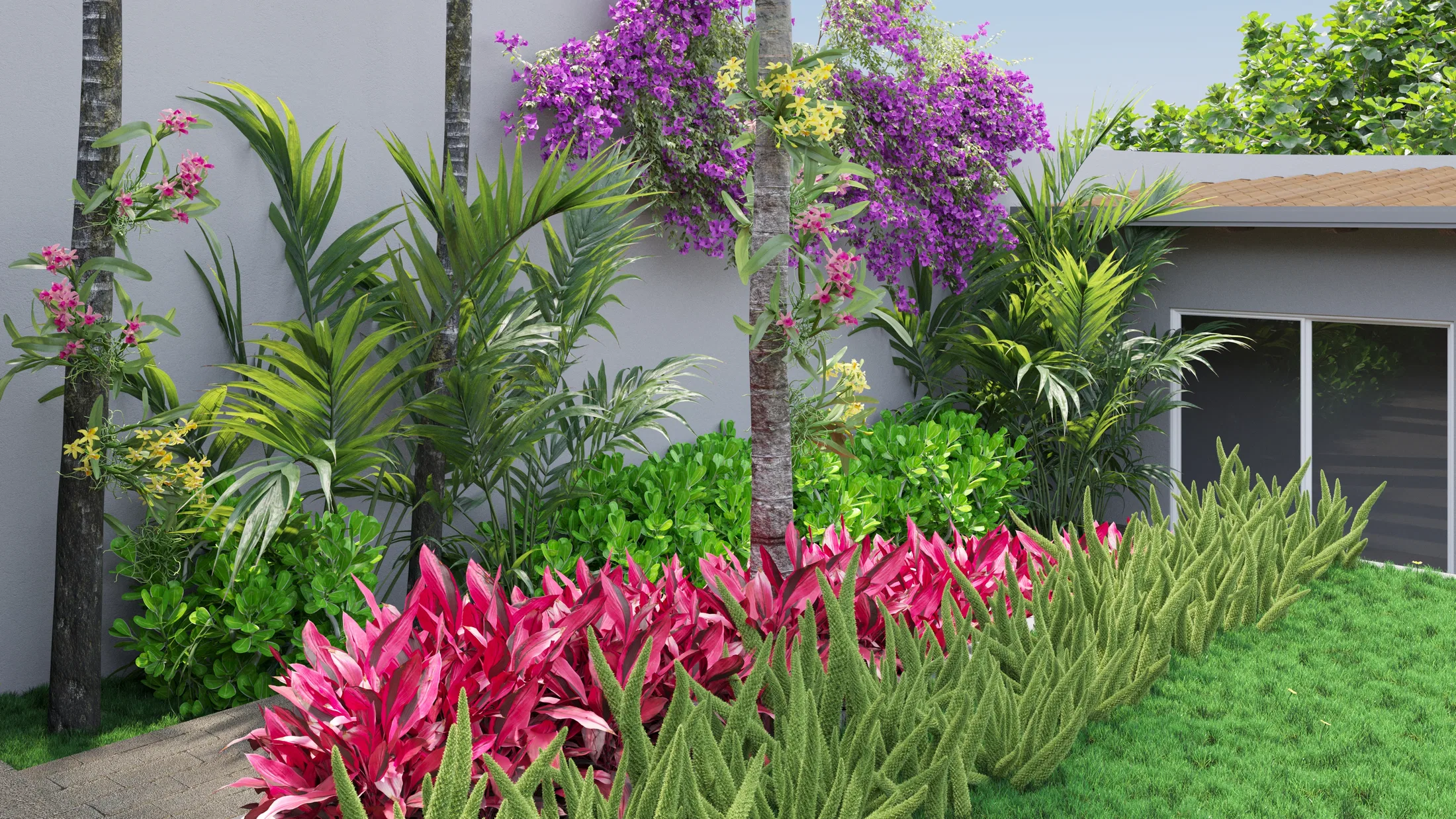 Planting bed against the grey house wall with magenta cordylines, green foliage, palms and a small flowering purple bougainvillea tree.