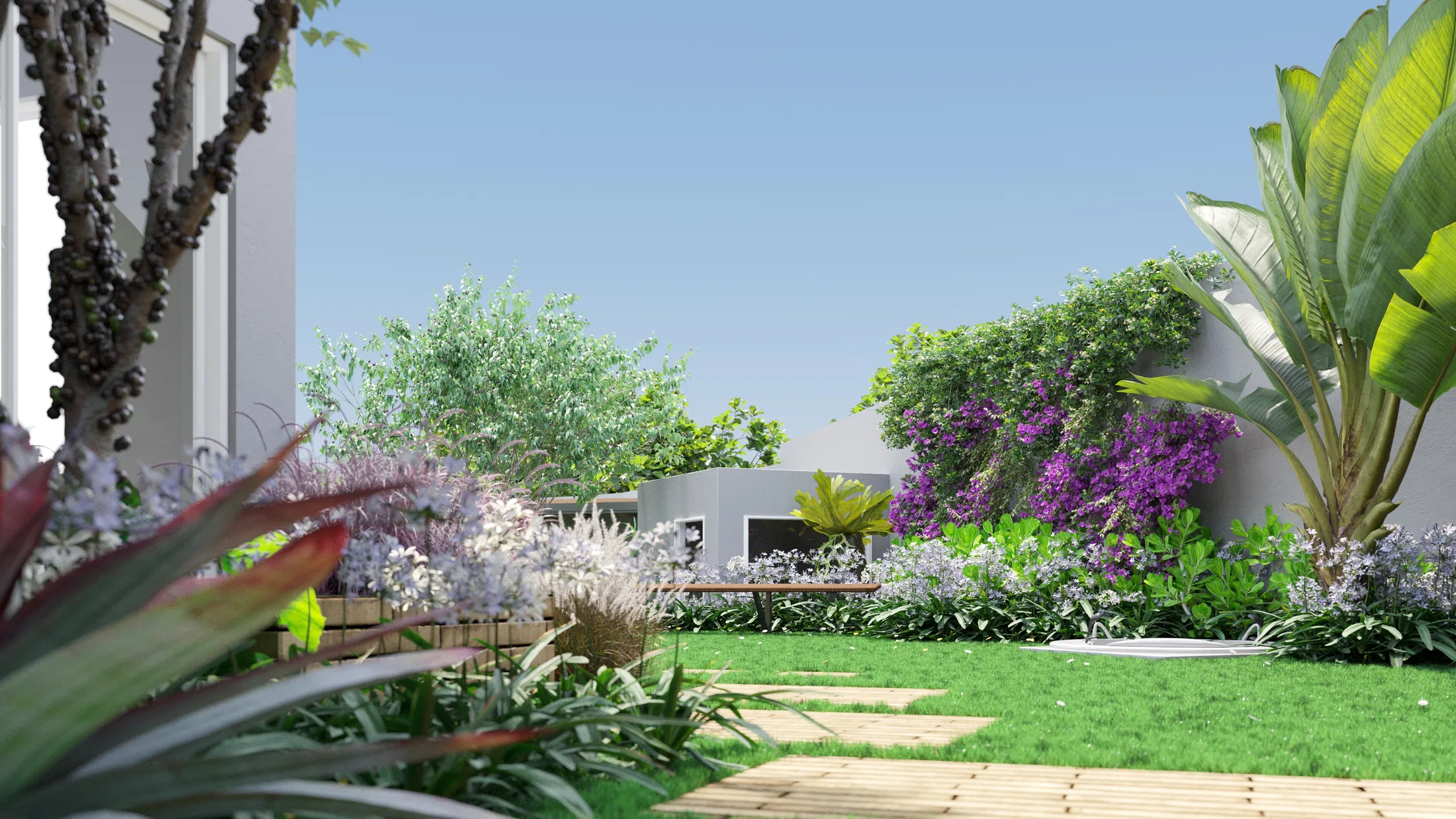 Garden with masses of white agapanthus, grasses and bougainvillea on the wall, a bird-of-paradise at right and reddish cordyline in the foreground.