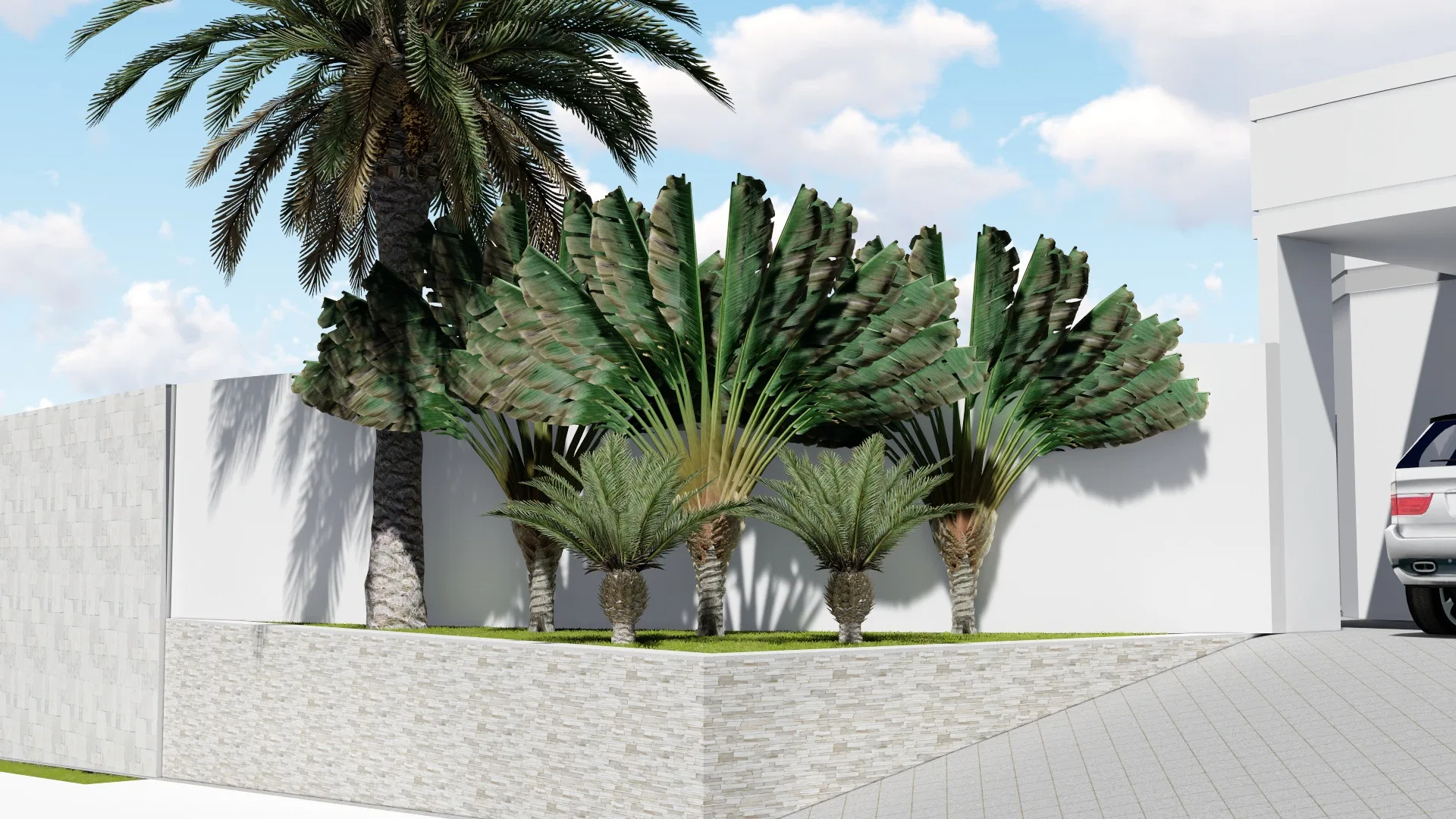 A tall palm and fan-shaped foliage in a stone planter at the wall corner, with smaller palms in front and the covered carport alongside