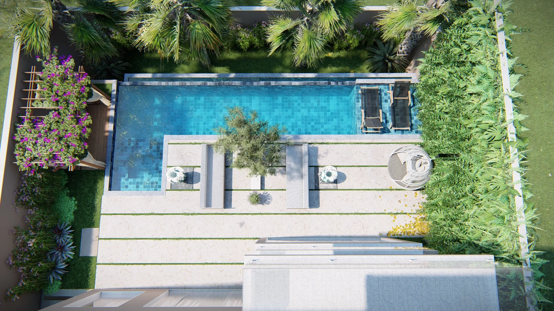 Overhead view of the walled backyard, its rectangular pool, sun loungers, olive tree and lawn strips bordered by dense hedges and palms