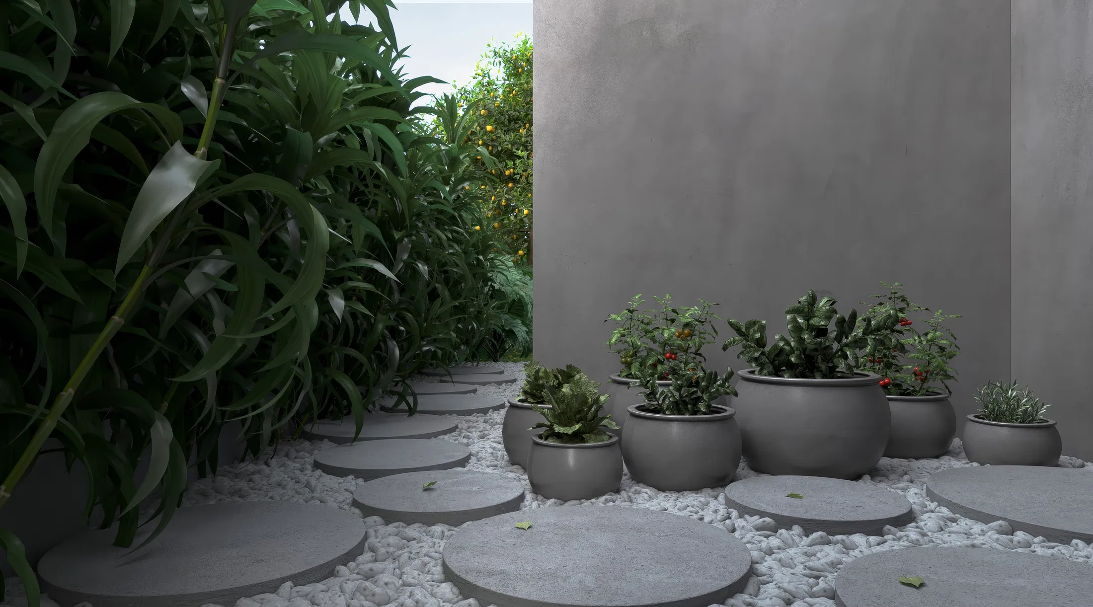 Side garden with gray pots of vegetables and herbs on white gravel, round concrete stepping stones and dense foliage