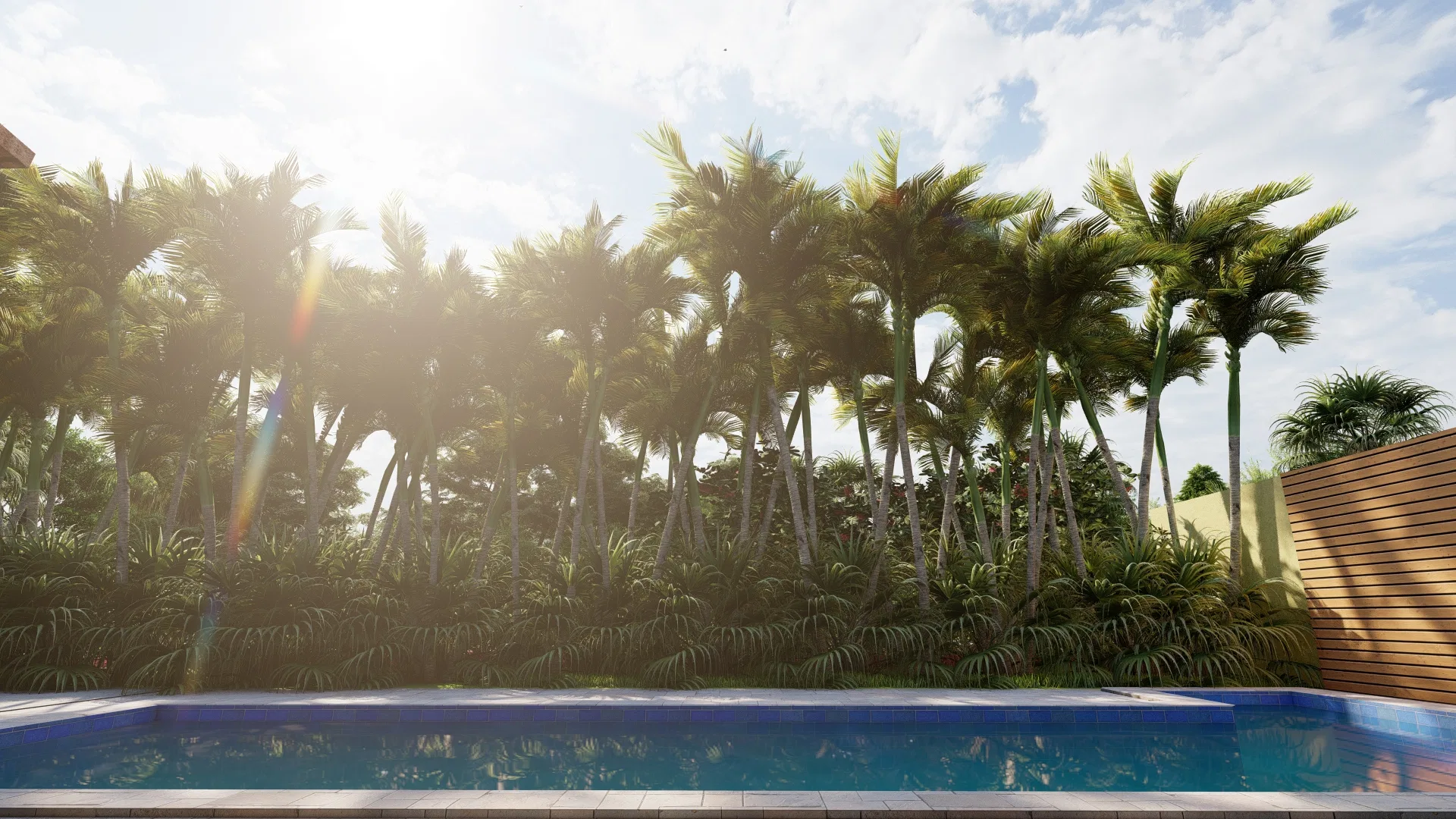 Rectangular pool backlit by sunlight, framed by tall palm trees and dense greenery along the boundary wall.