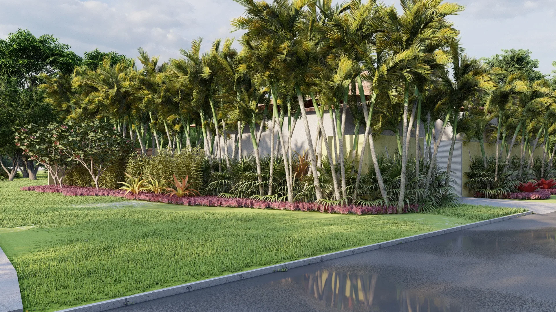A dense row of tall palm trees along a house's boundary wall, with a flowering pink bed and red bromeliads by the sidewalk.