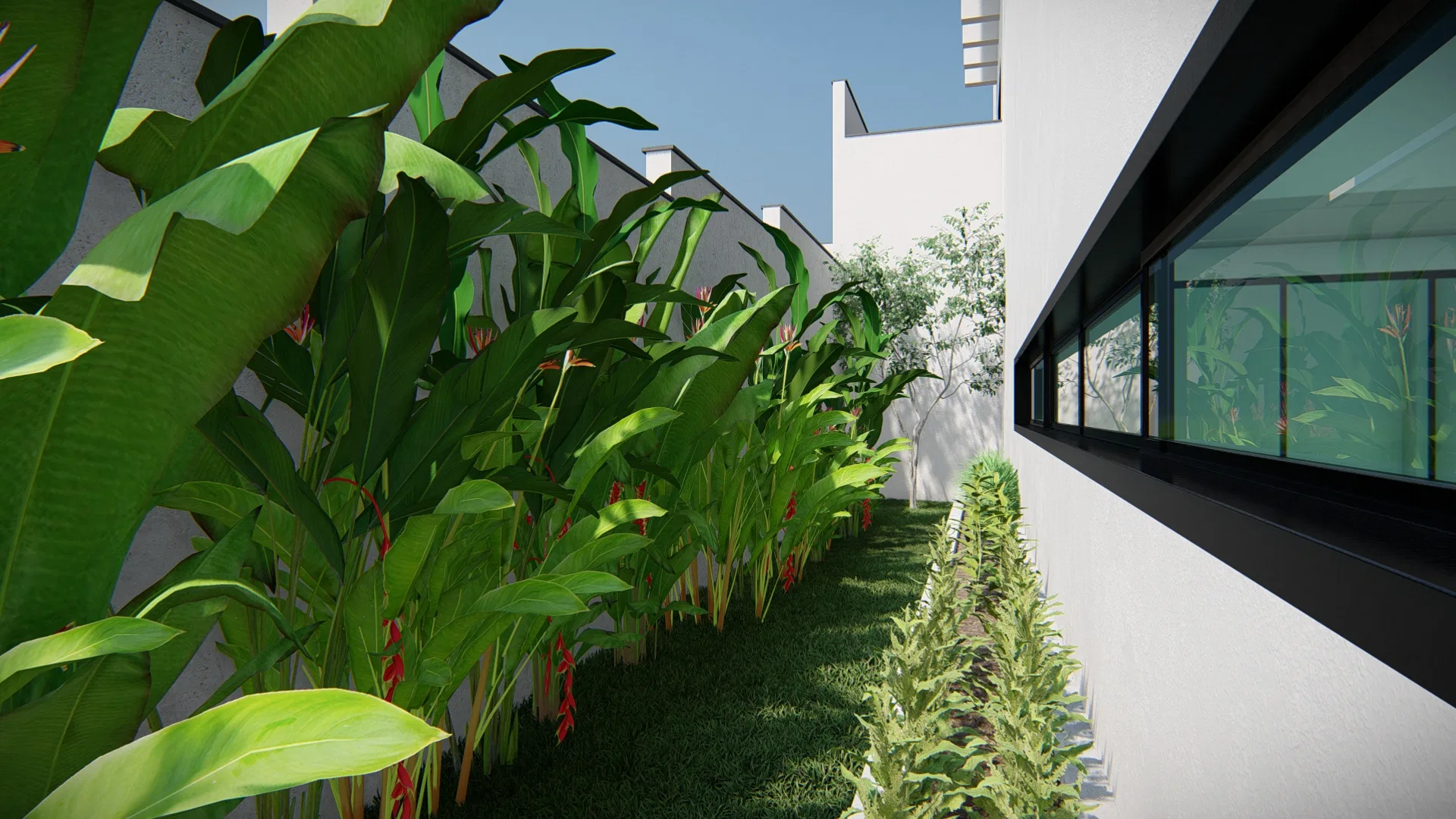 Narrow corridor with a dense row of flowering heliconias by the wall and a long window mirroring the foliage