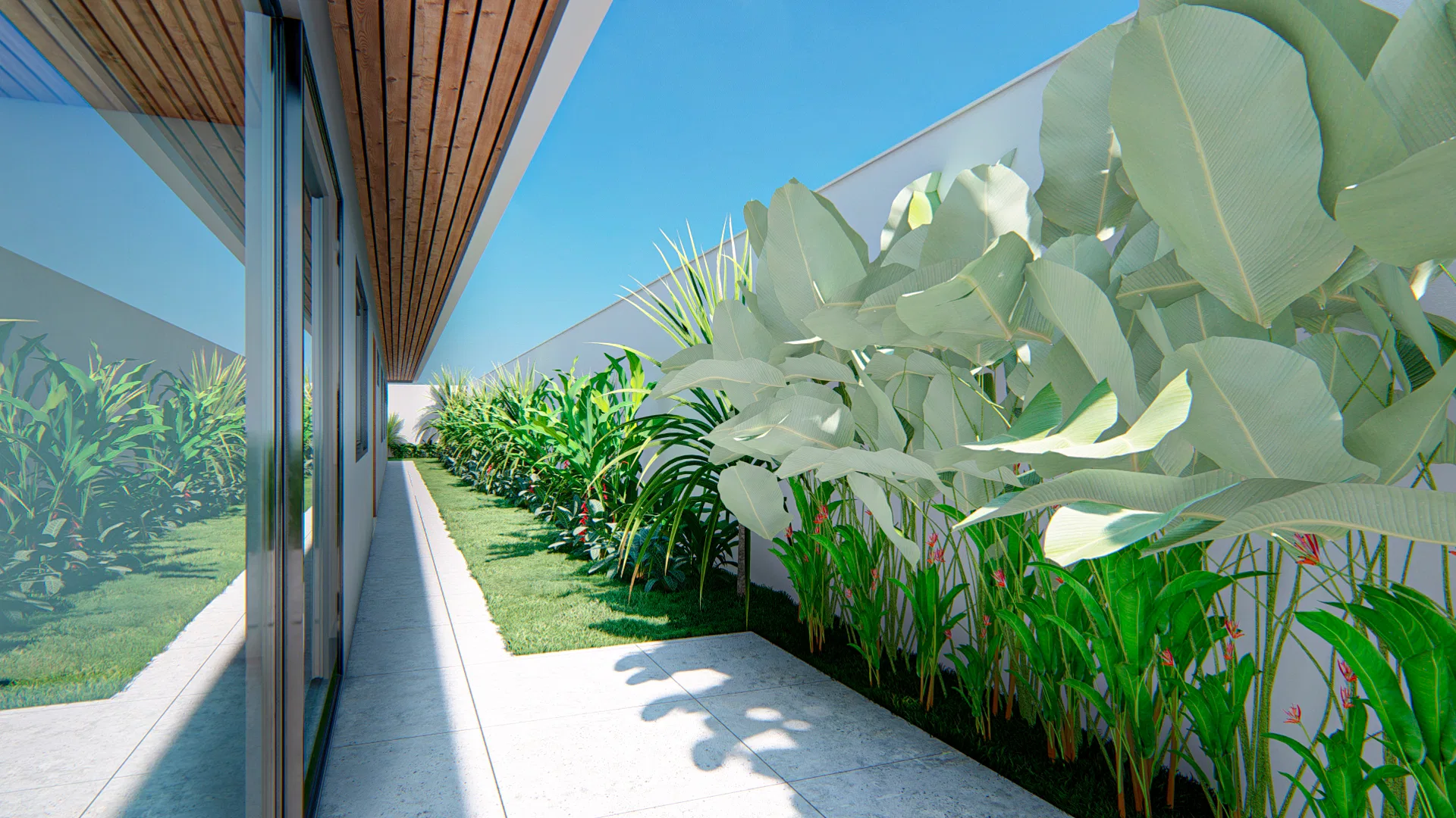 Paved side corridor along the house, with a wood-slat soffit and a narrow bed of broad-leaved strelitzia