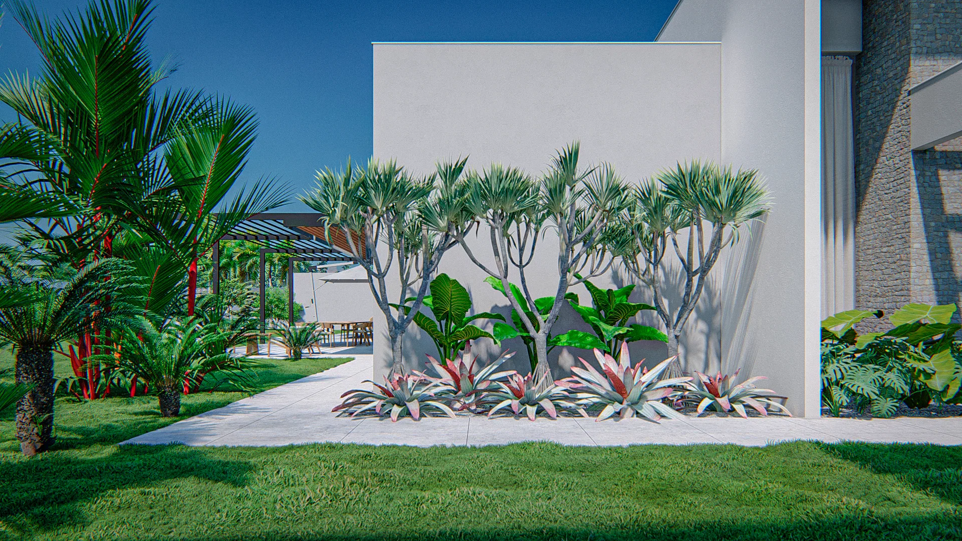Garden corner with branching dracaenas and reddish bromeliads at the base of a white wall, palms beside and a pergola lounge behind
