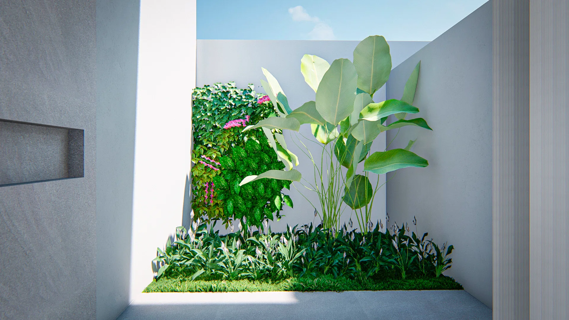 Enclosed internal courtyard with a pink-flowering vertical garden and strelitzia over low groundcover, between pale walls and a niche
