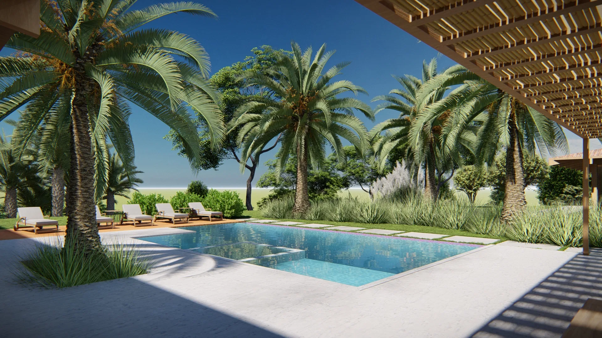 Rectangular pool with sun loungers on a wooden deck, palms and grasses, under a pergola, with an open horizon behind.