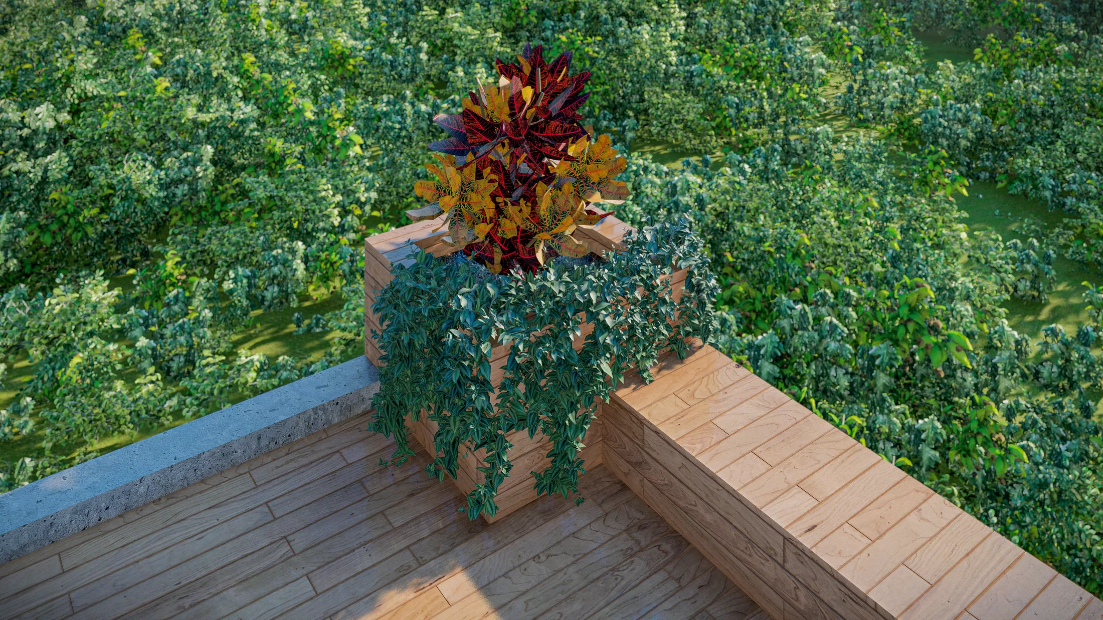 Top view of a timber terrace with a bench and a central planter of croton and trailing foliage