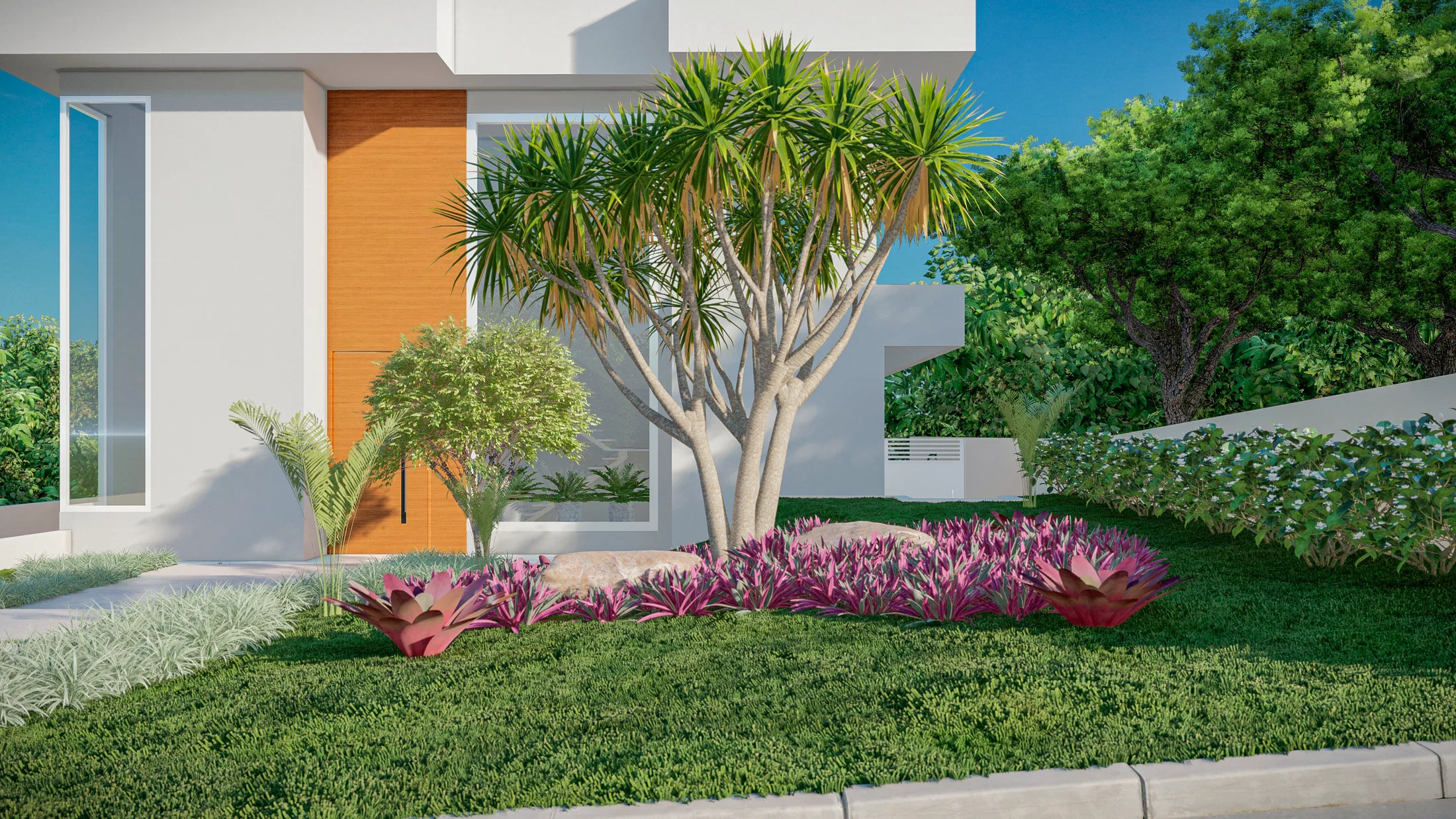 Planting bed by the facade with a branching dracaena, magenta bromeliad rosettes and low groundcover on trimmed lawn