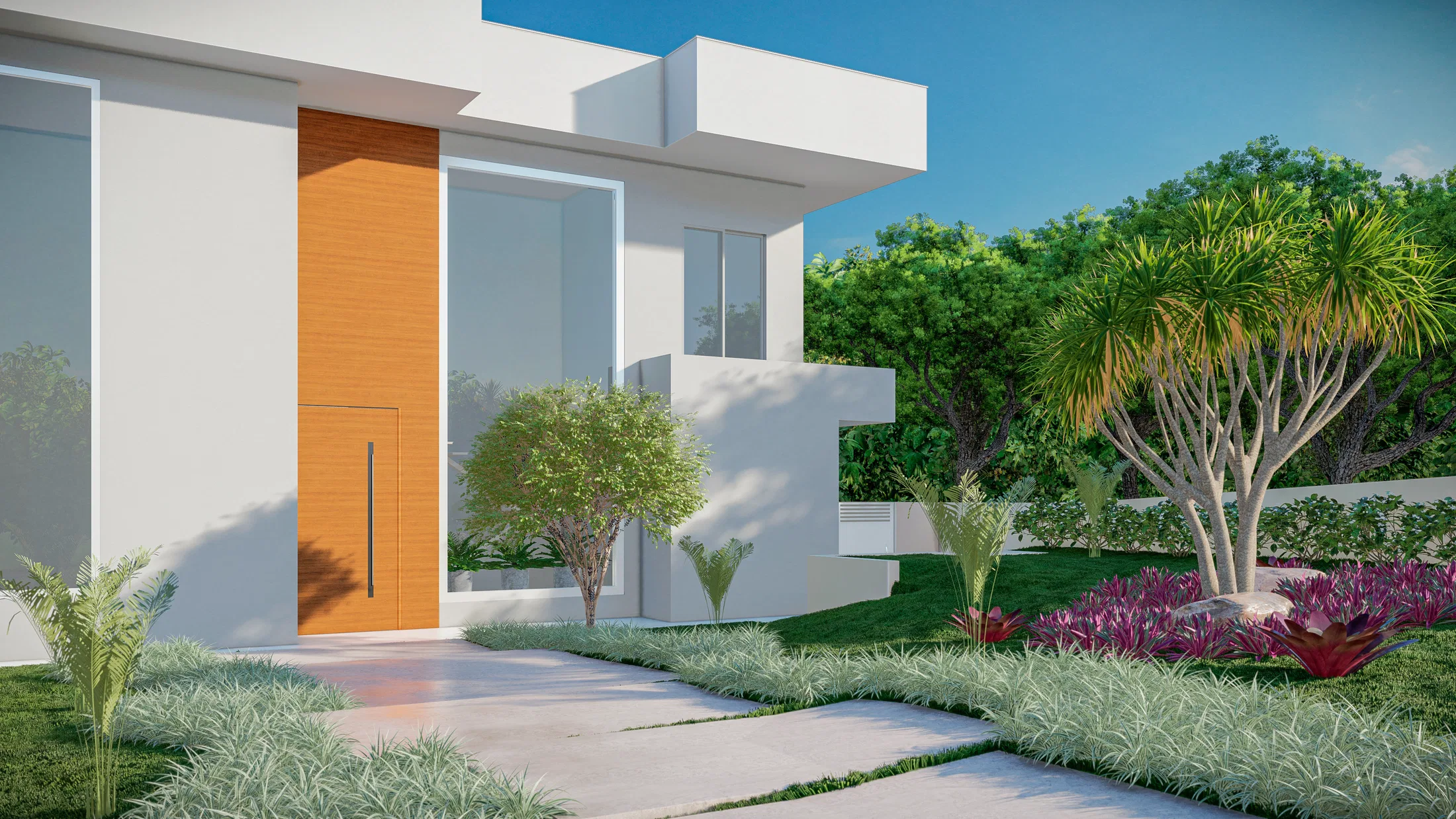 Front approach with a slab path between beds of grasses and bromeliads, a dracaena and the white facade with wood door