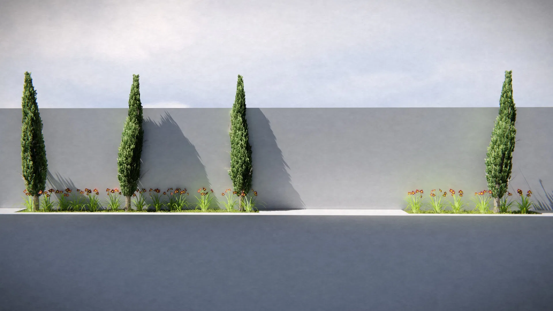 Row of columnar cypresses in planters against a white wall, interspersed with clumps of orange flowers and sharp shadows.