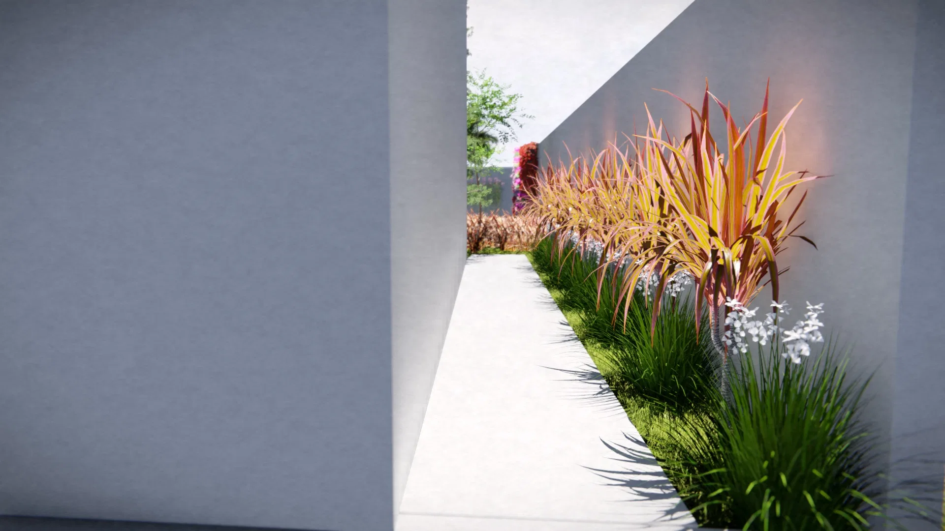 Narrow passage between light walls with a linear bed of reddish foliage and white blooms, lit by a shaft of light at the far end.