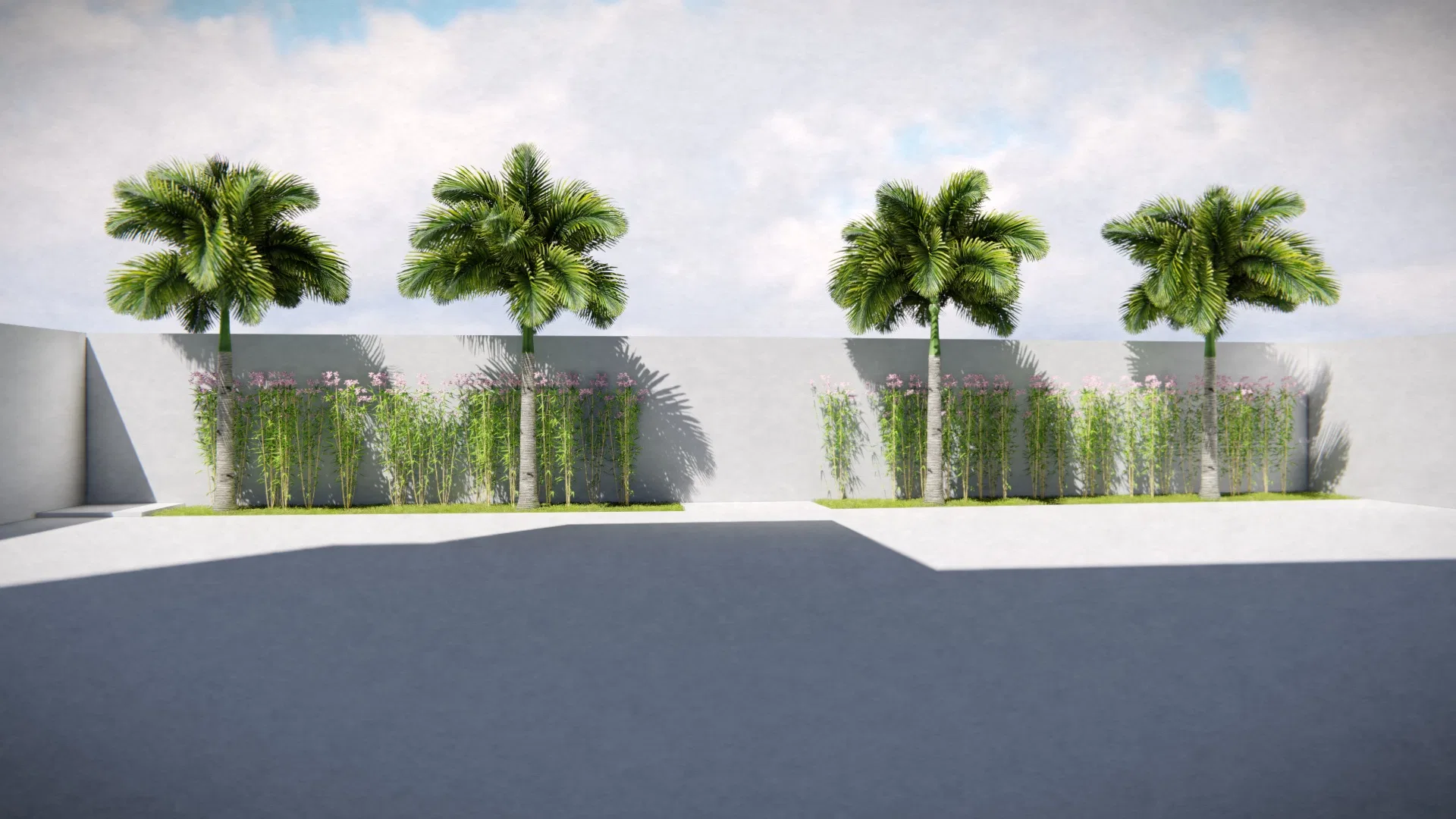 Four palm trees aligned before a white wall, with an understory of tall grasses and small pink flowers over grey paving.