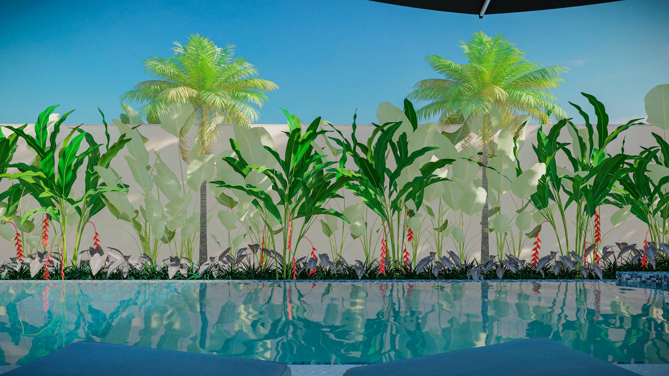 Poolside with a tropical mass, two coconut palms and red heliconias set against a white wall under blue sky