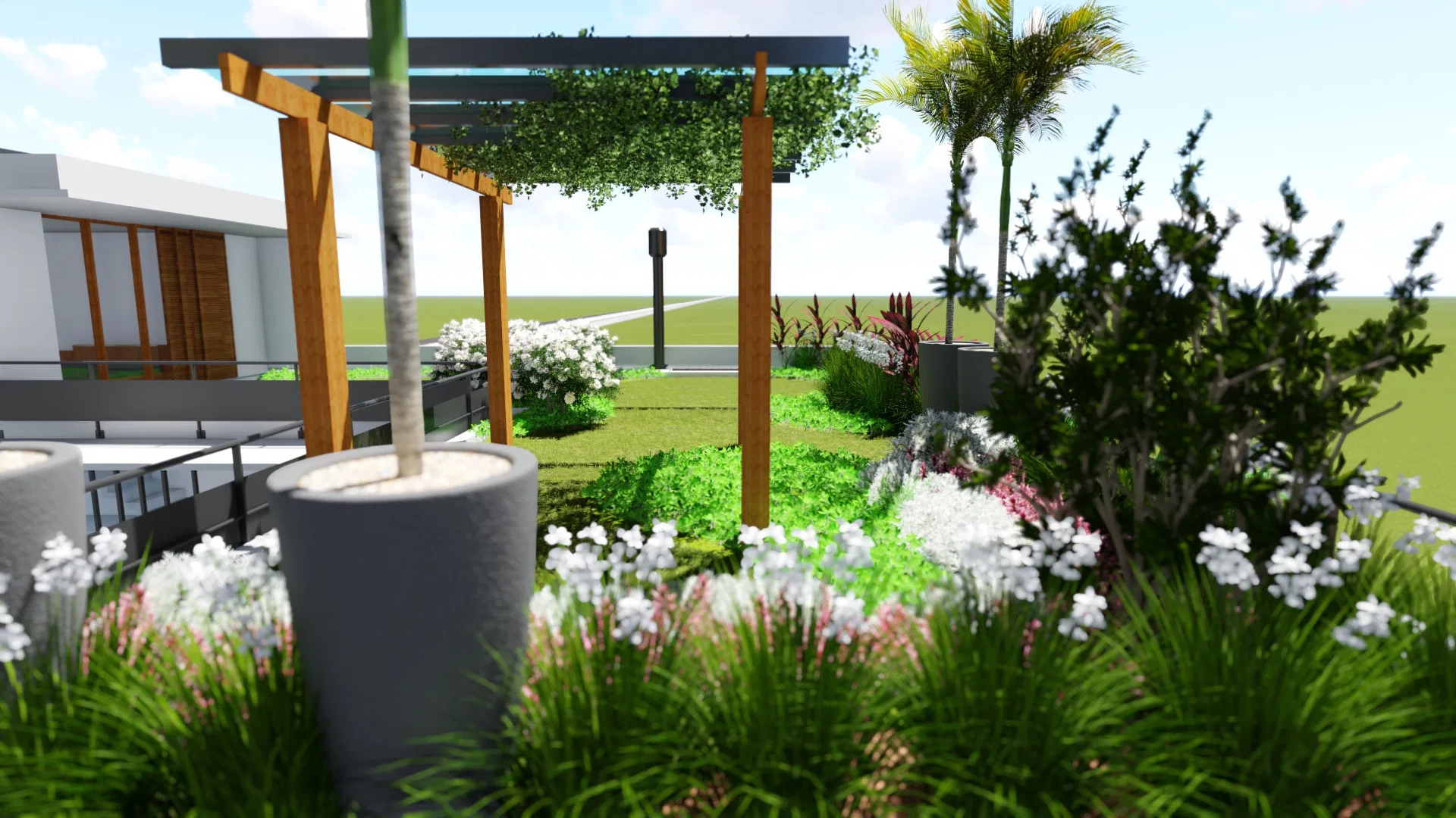 Garden with a timber pergola, a newly planted tree in a concrete pot and beds flowering white among ornamental grasses
