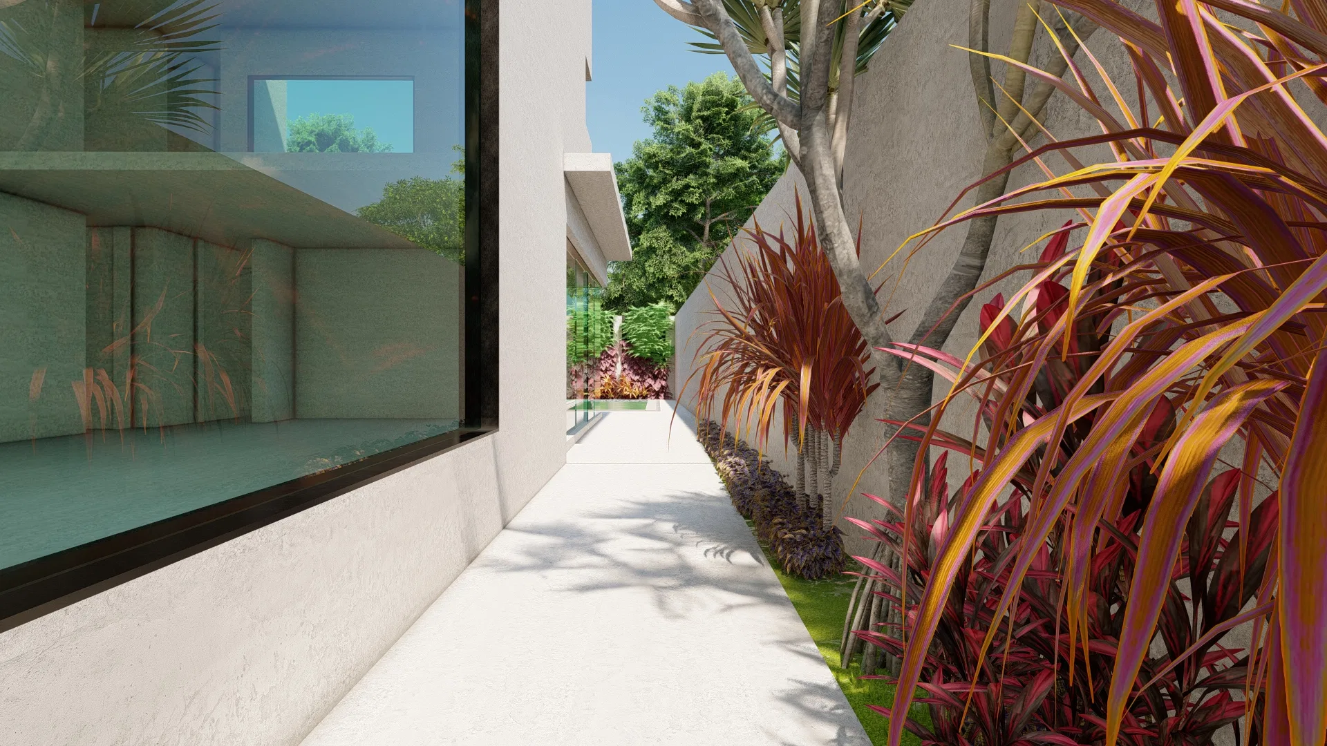 Narrow side walkway between the house and the boundary wall, lined with red and gold foliage and a glimpse of the pool through glass.