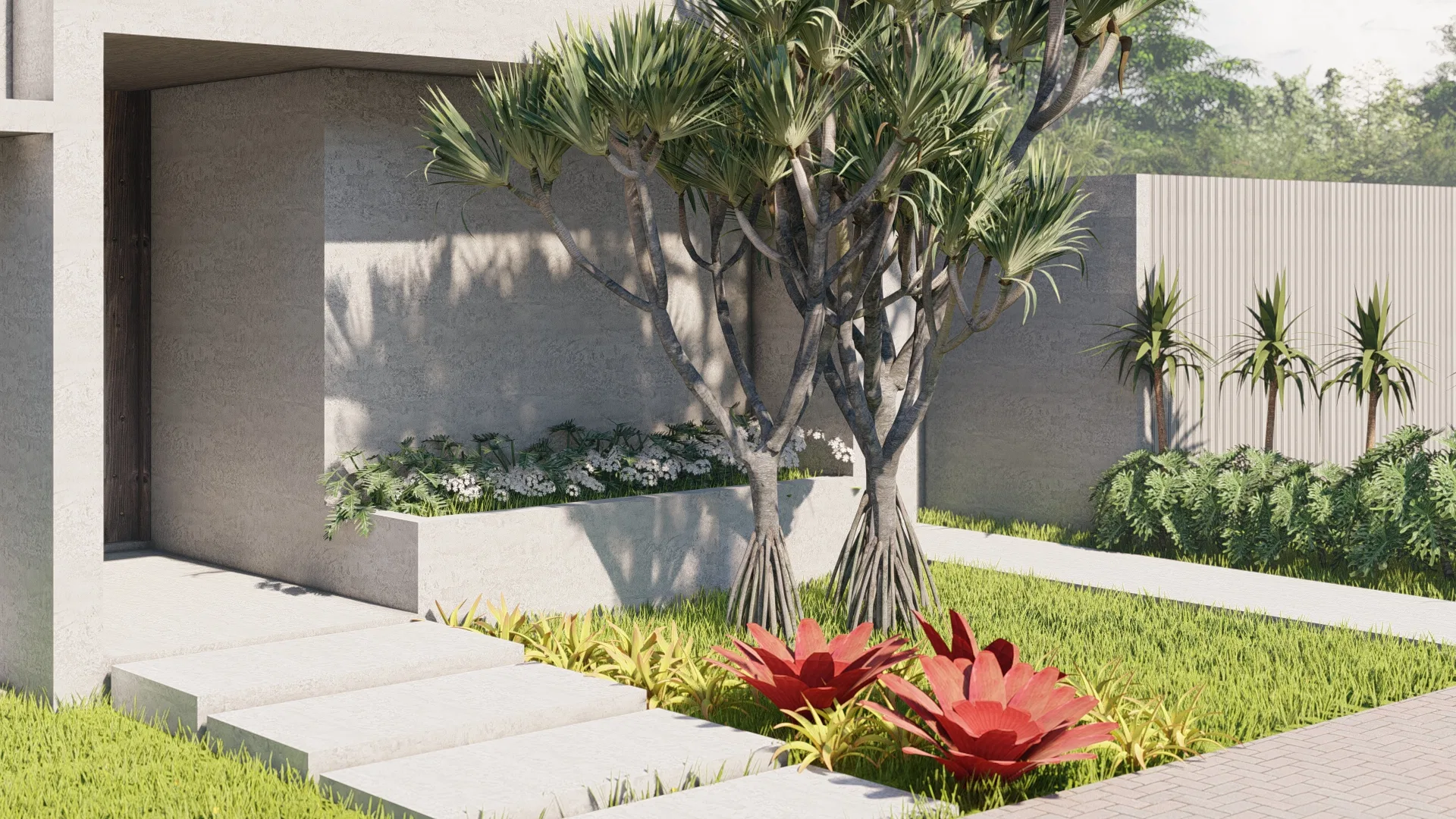 Concrete entrance planter with slender-trunked trees, white flowering shrubs and red bromeliads set against the boundary wall.