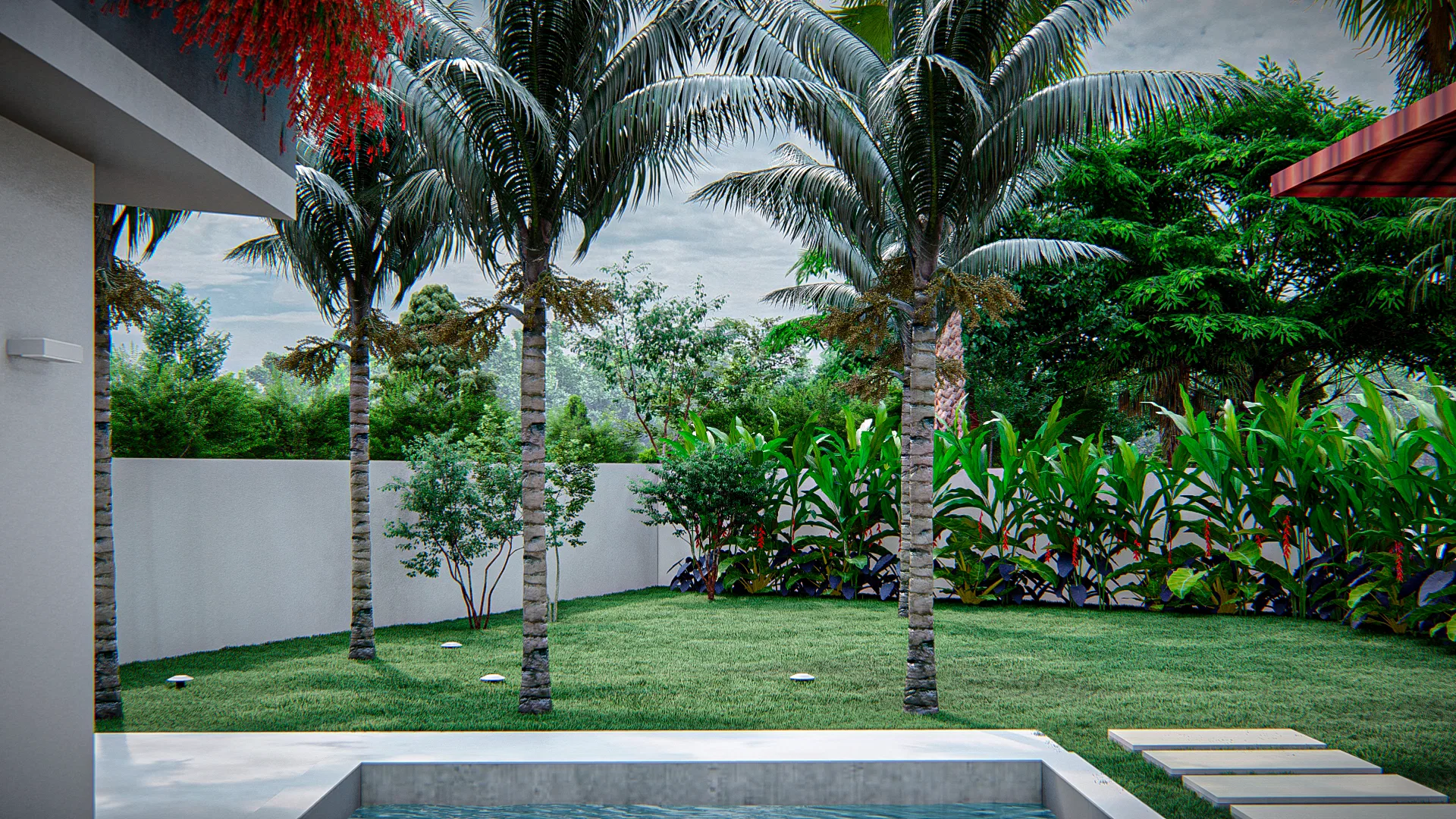 Rectangular pool beside a lawn with tall palm trees, tropical foliage shrubs and a white wall in the background