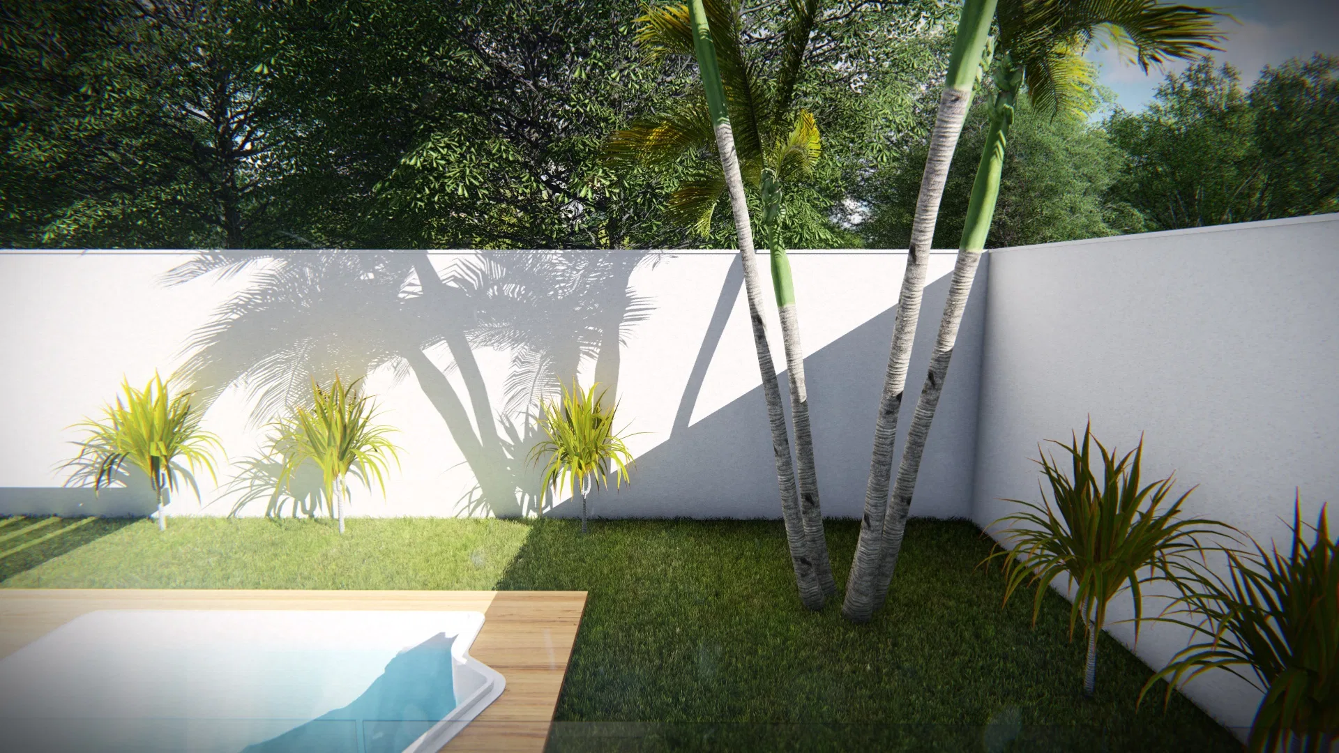 Low angle among palm trunks and green clumps, with the wood-edged pool corner in the foreground