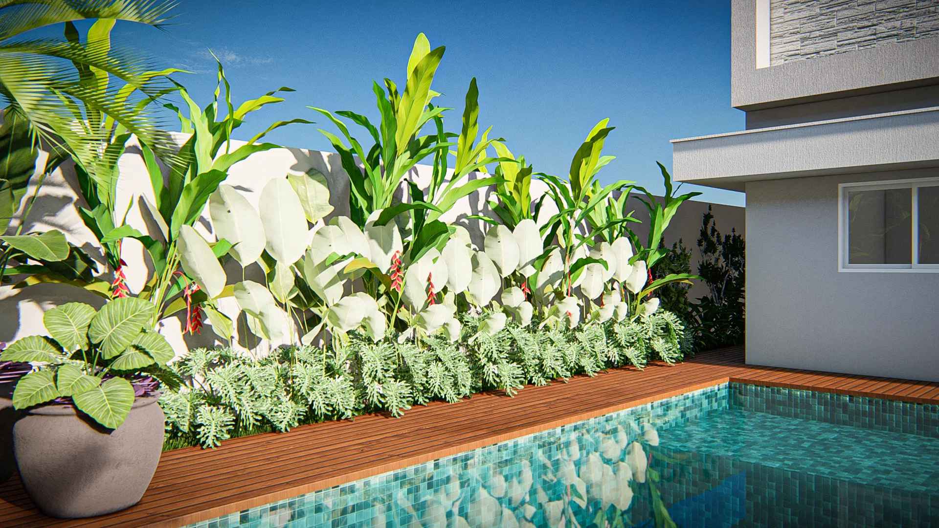 Poolside bed of creamy variegated foliage, red-bracted heliconias and dense ground cover edging the wood deck.