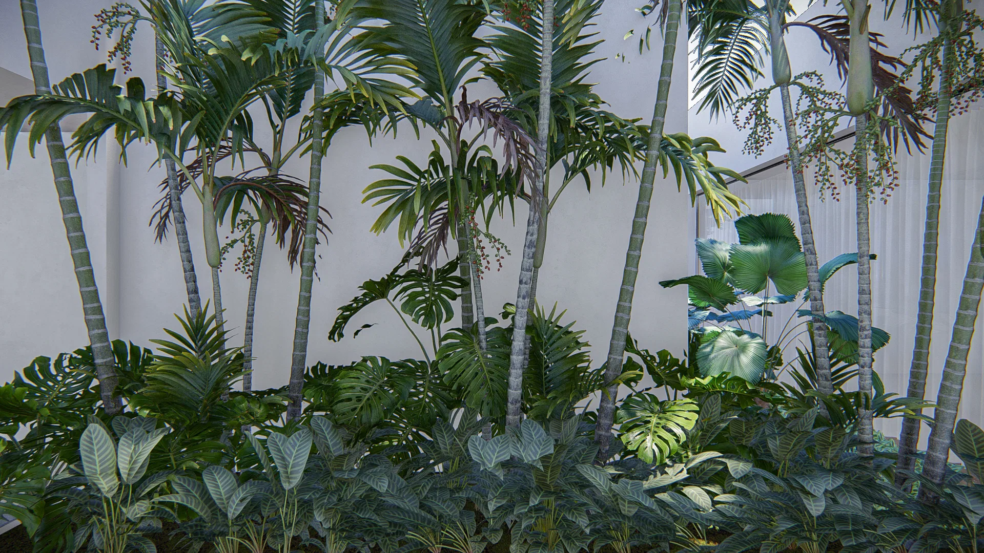 Dense tropical garden of clustered palms, monstera and large shade leaves arranged against a white wall