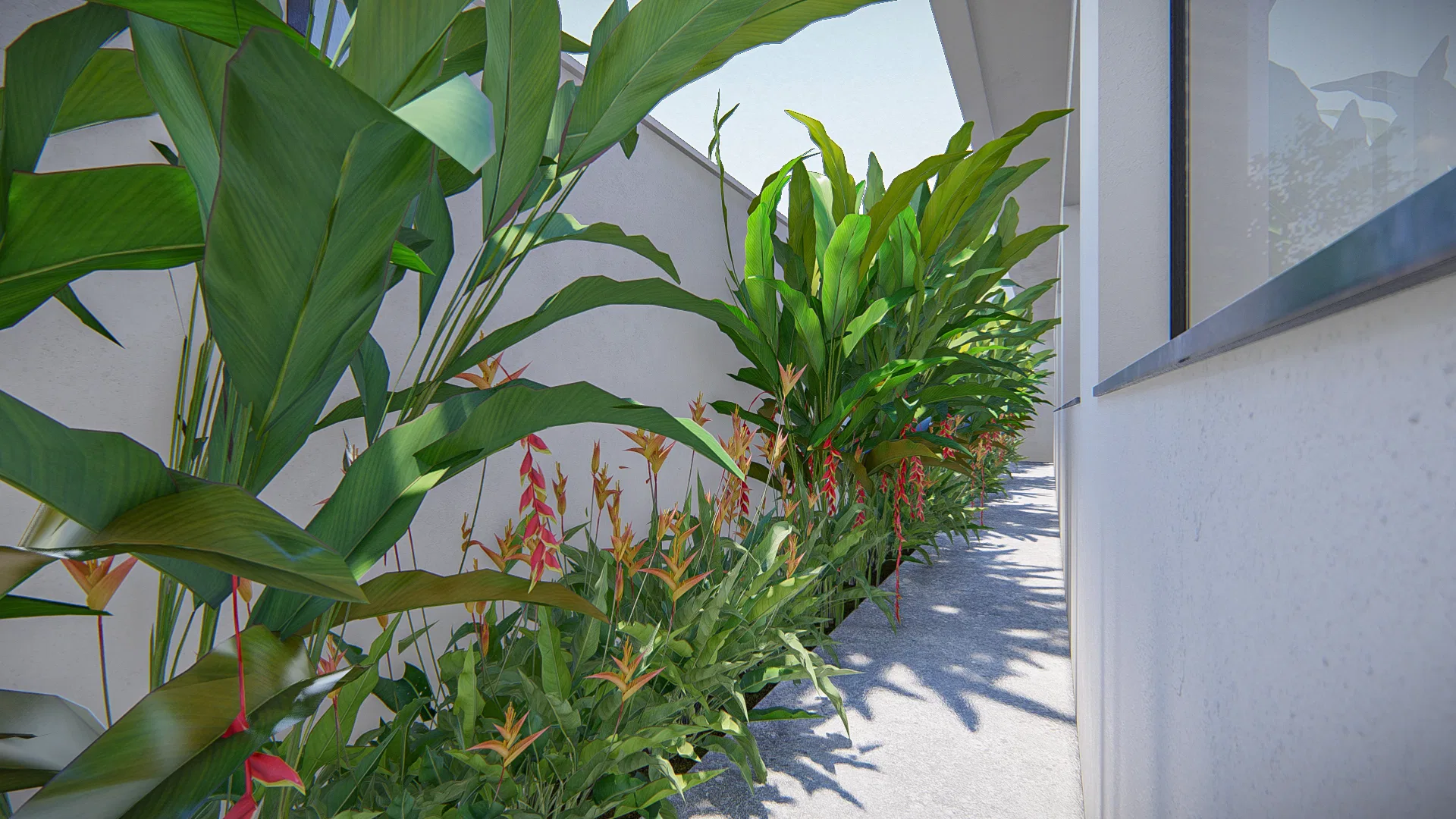 Narrow outer corridor lined with flowering heliconias in red and orange tones among tall tropical foliage