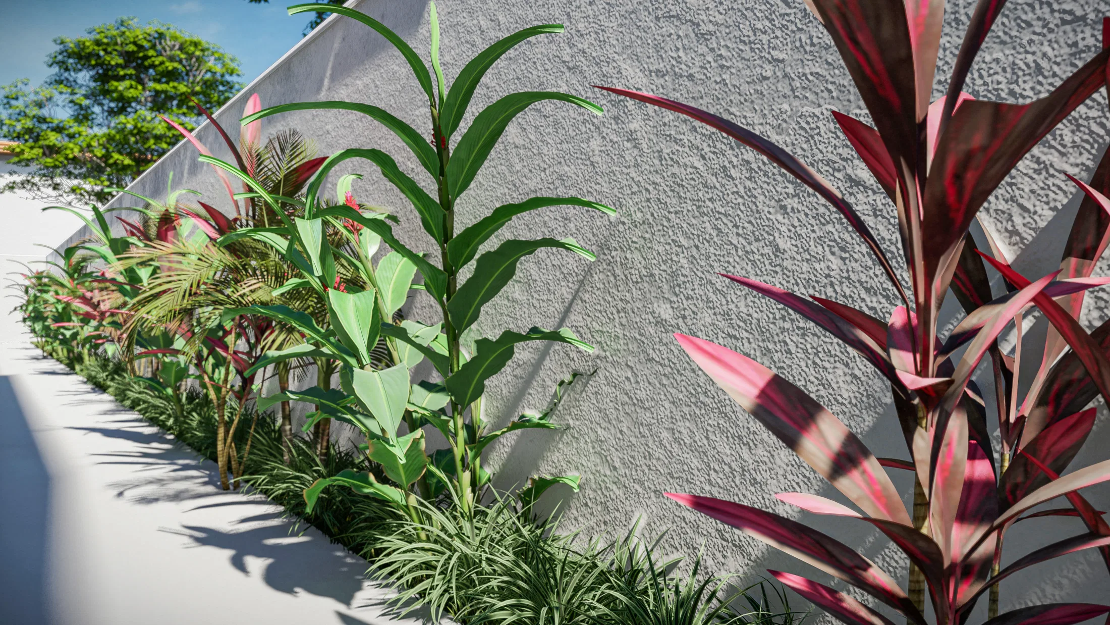 Detail of the planting bed along the outer wall, with green and red foliage at varying heights along the path