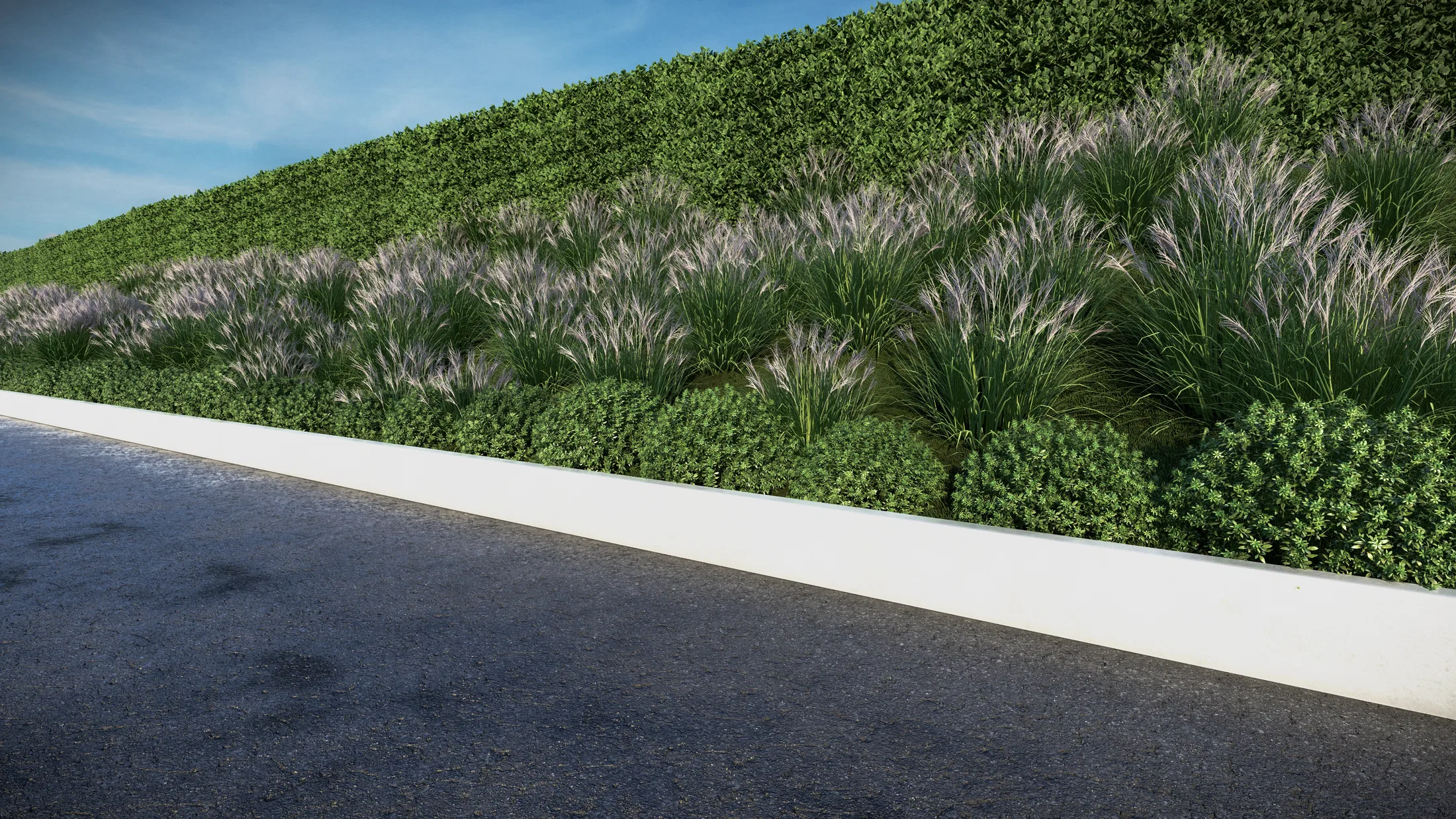 Landscape detail on a bank: a green hedge above, ornamental grasses in the middle and rounded shrubs by the curb, beside the drive