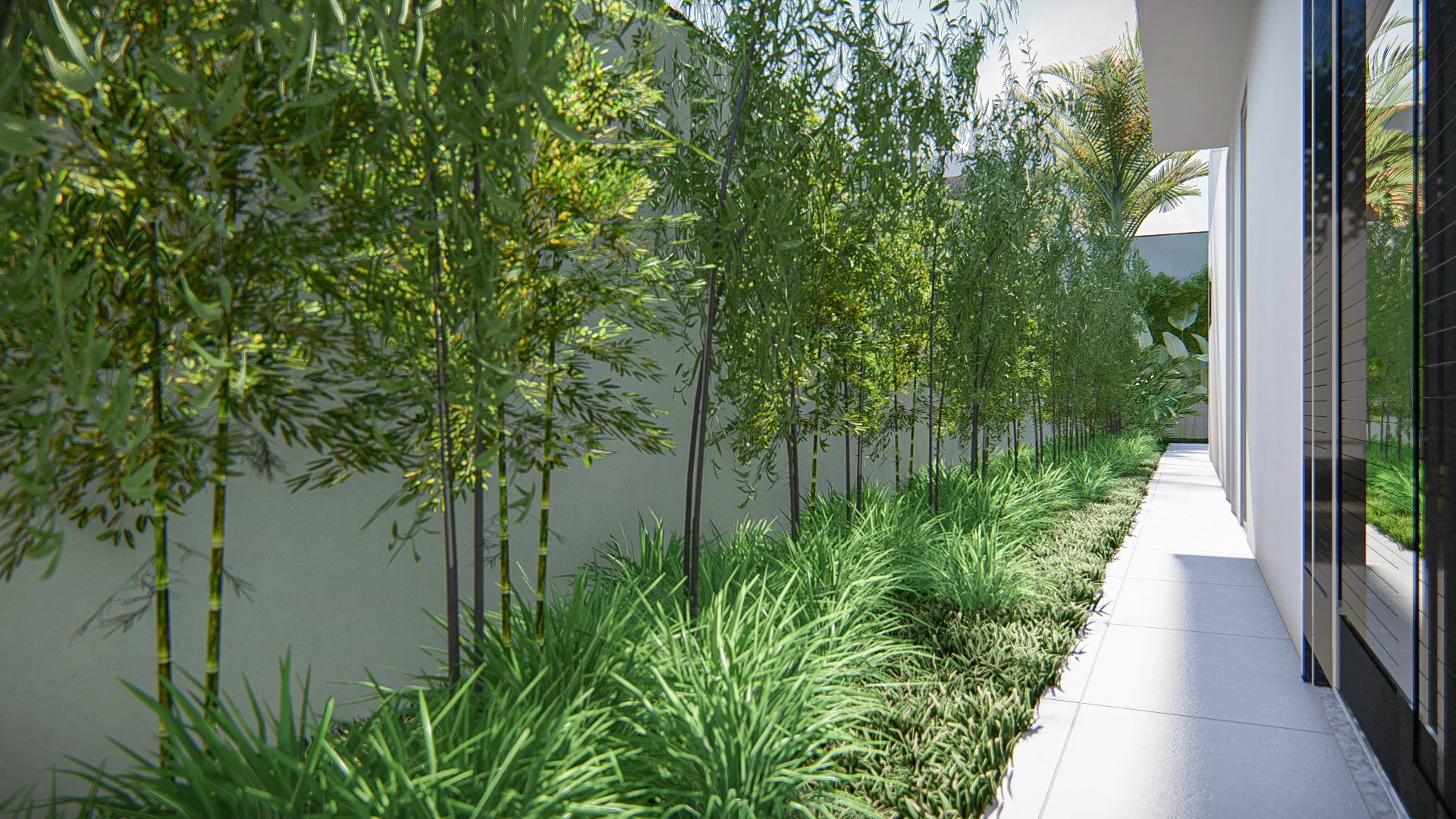 Side corridor with a dense bamboo screen along the white wall, a mondo-grass border and a paved path beside the glass facade