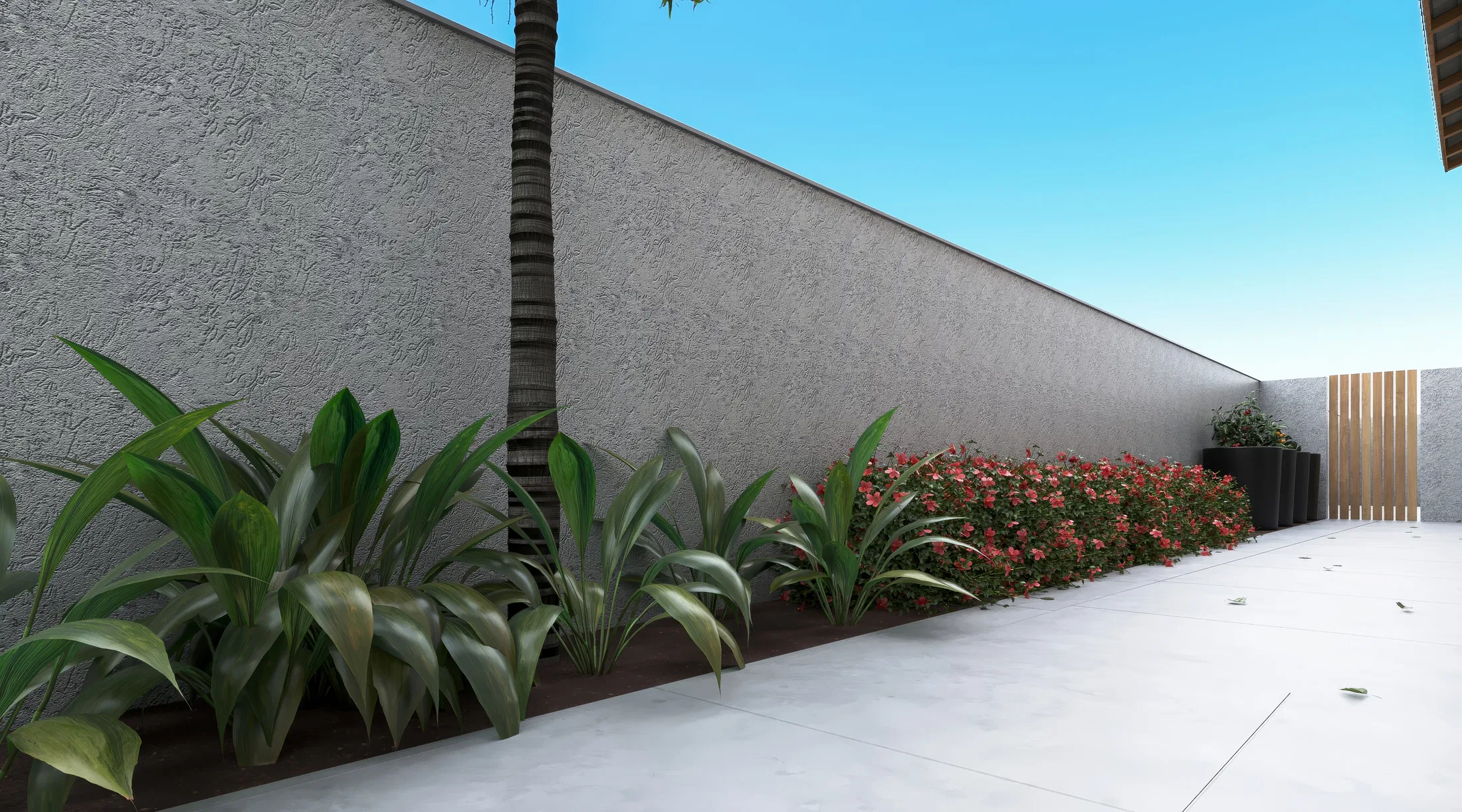 Side passage with a textured wall, a foliage bed and a red-flowering shrub beside concrete paving and a timber-slat detail.