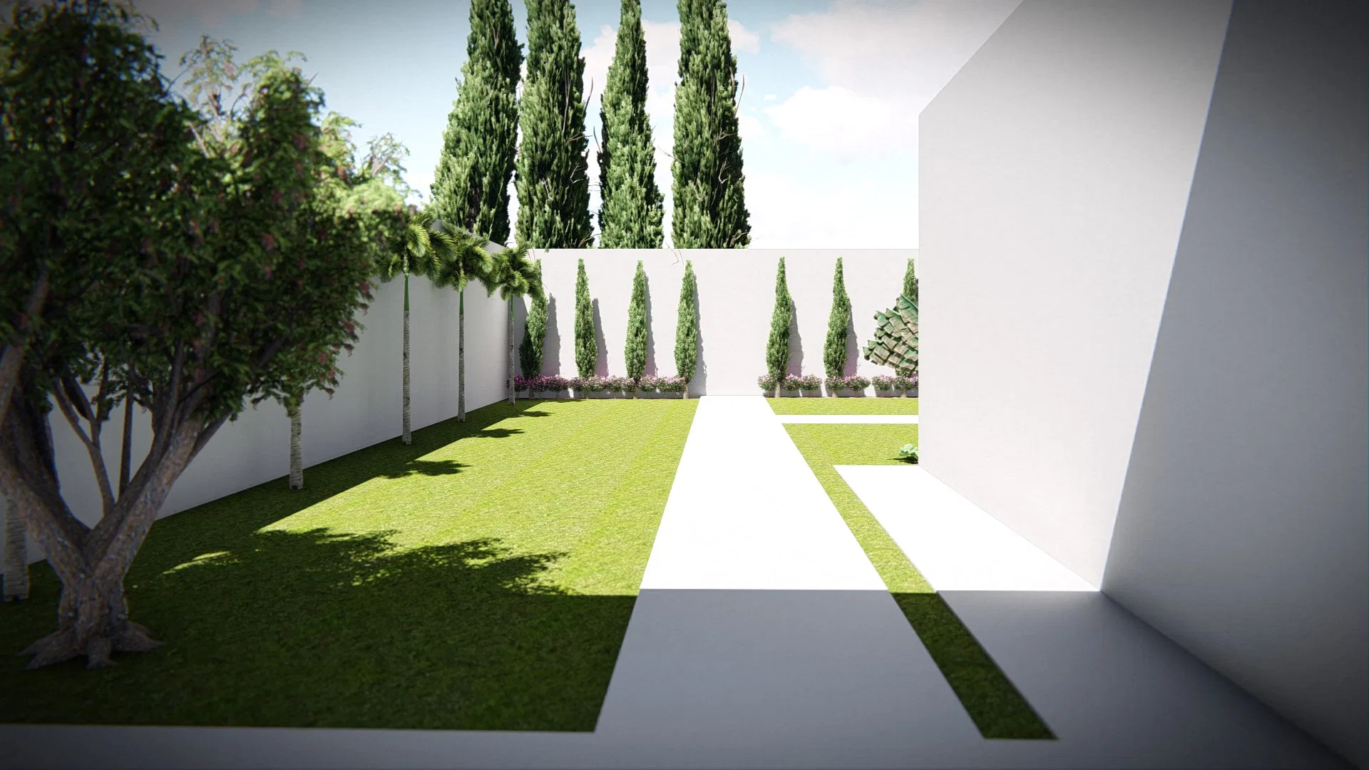 Grassed inner courtyard with a row of columnar conifers along a white wall, a leafy tree at left and a pale paved path.