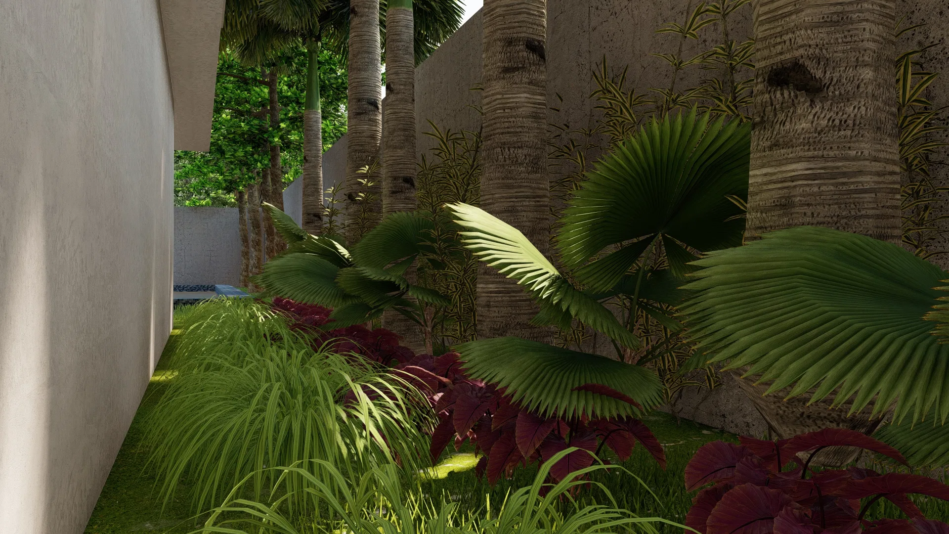 Narrow side path between a concrete wall and dense tropical planting, with fan-palm leaves and red foliage