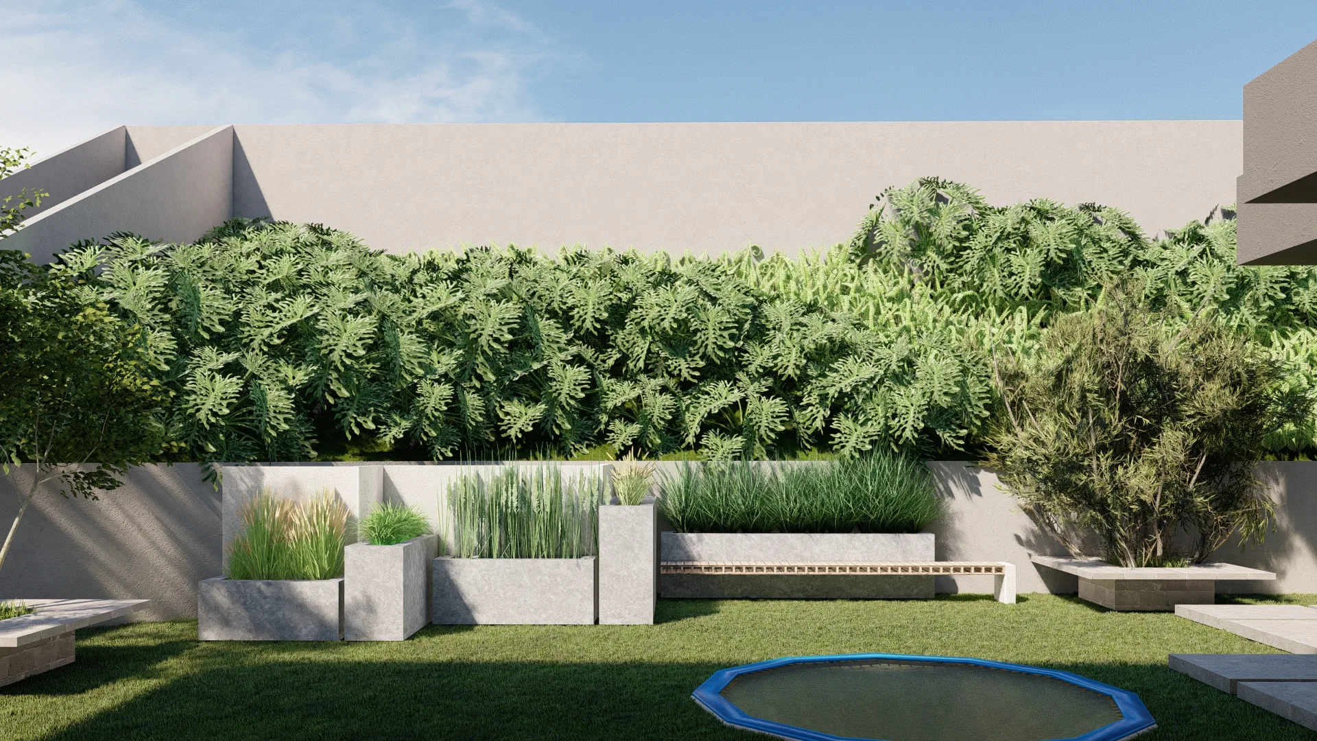 Backyard with lawn, concrete planters with ornamental grasses and a dense hedge in the background, with a trampoline in the corner