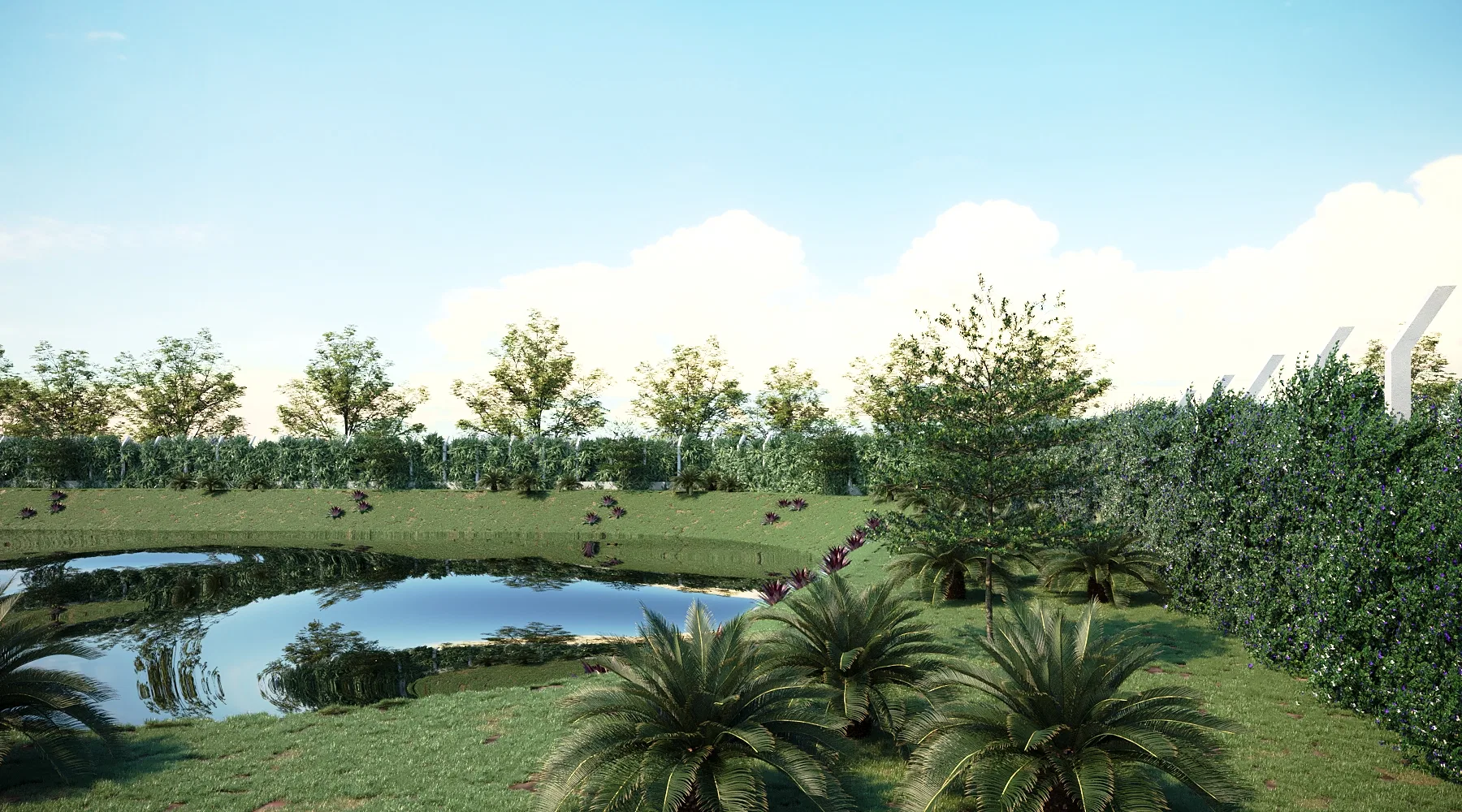 A mirror-like pond reflecting the sky, with cycad palms in the foreground and a hedge of trees closing the horizon.